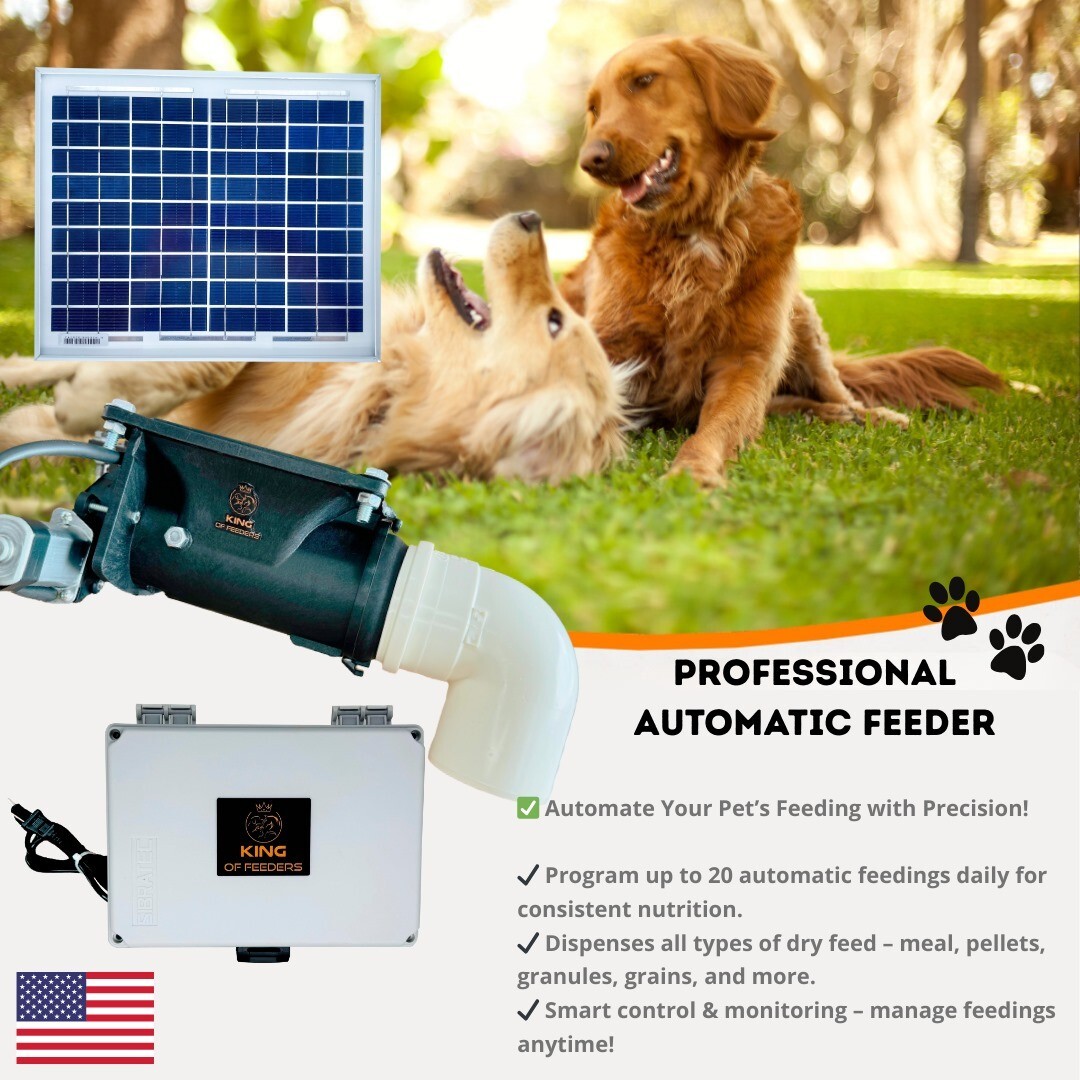 Solar Automatic Feeder with Y Splitter – Dual Feeding System for Farms