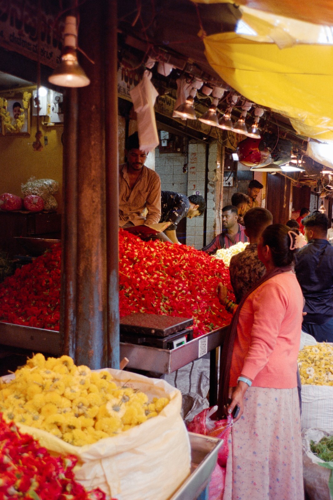 30m Dealer's V3 250D, RESPOOLED Kodak Vision 3 AHU, NO REMJET C41 35mm Film Bulk