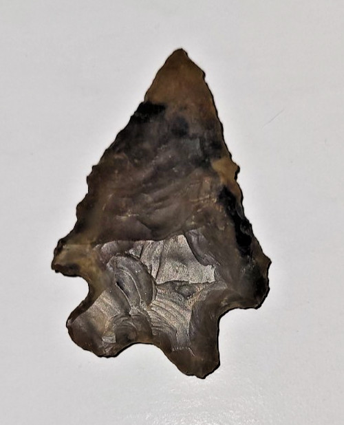 Sharp American Arrowhead Artifact Buck Creek Point? Jasper? Veined Arrow Head