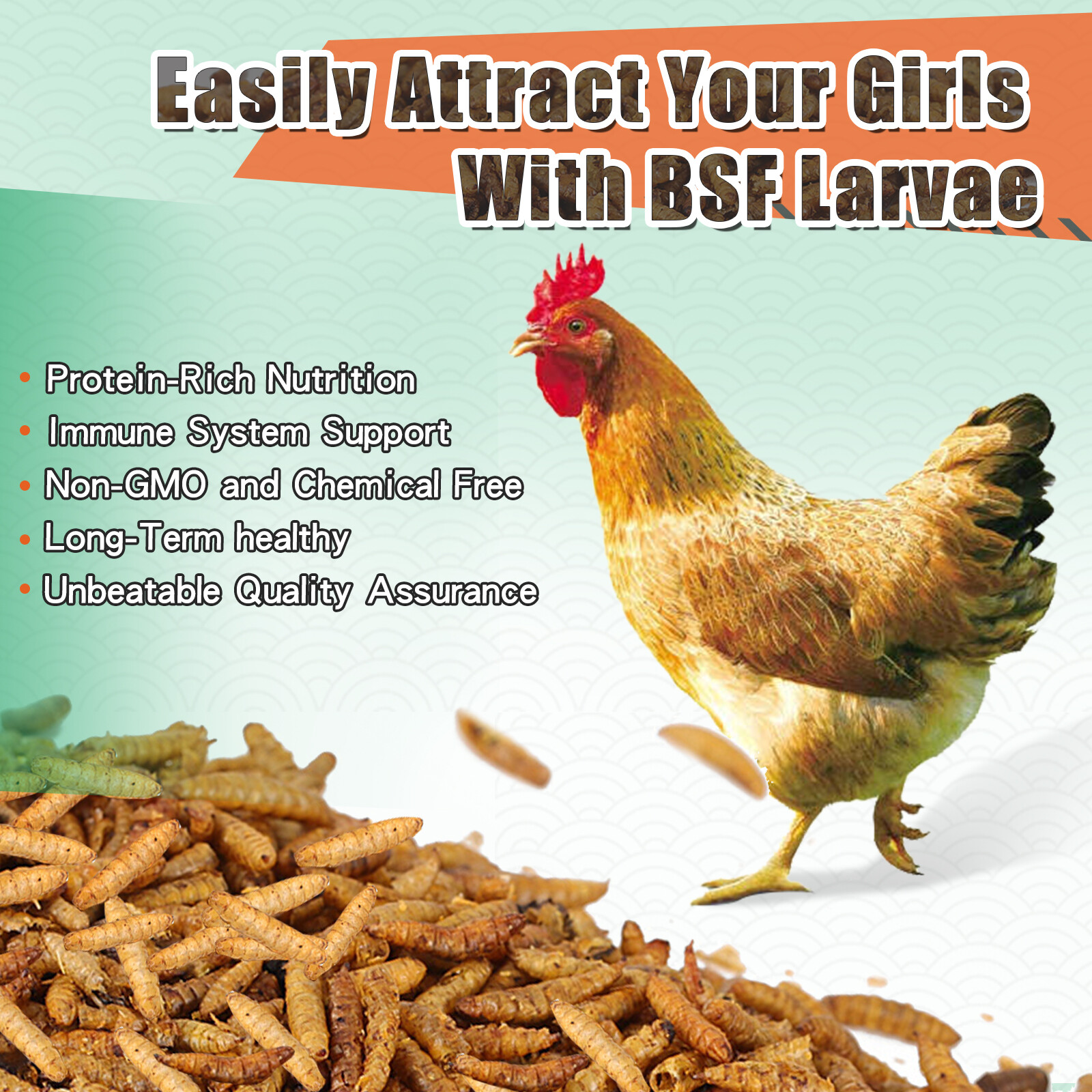 5-44LB Dried Black Soldier Fly Larvae Mealworms for Chicken Birds Treats Premium