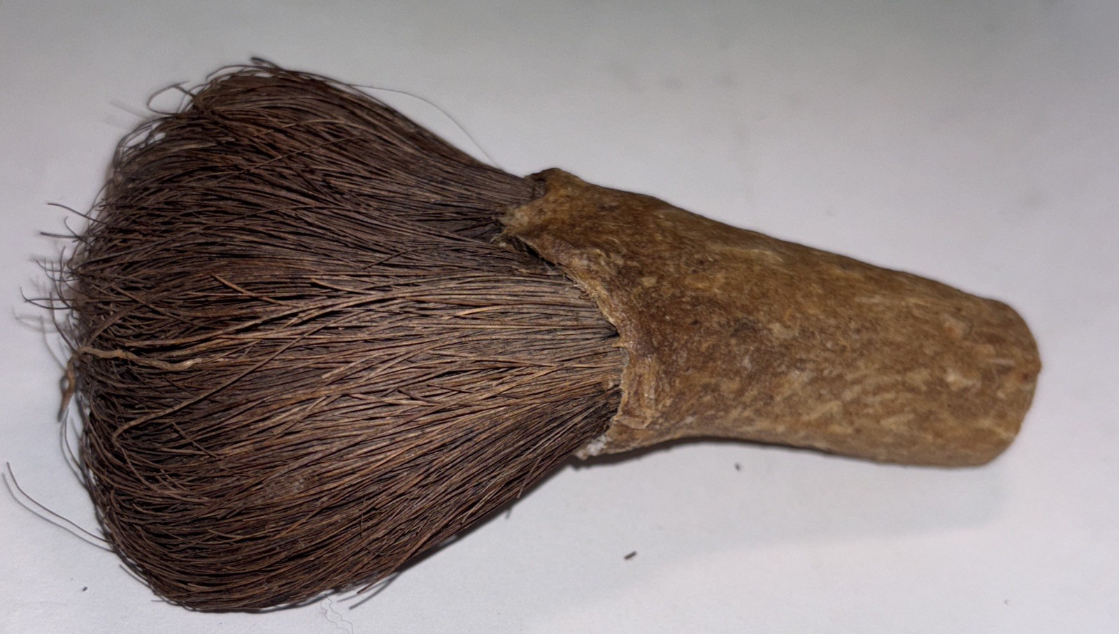 CHUKCHANSI OR MIWOK NATIVE AMERICAN SOAPROOT BRUSH 4”