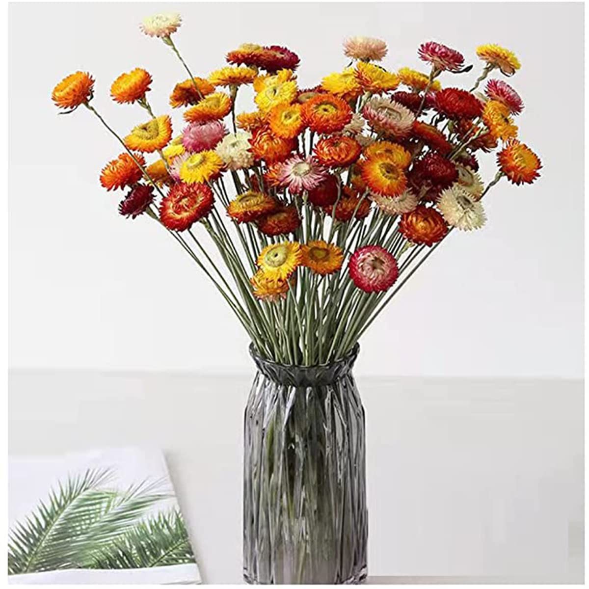 TooGet 40 Pcs Natural Dried Daisies, Daisy Flowers Bouquet with