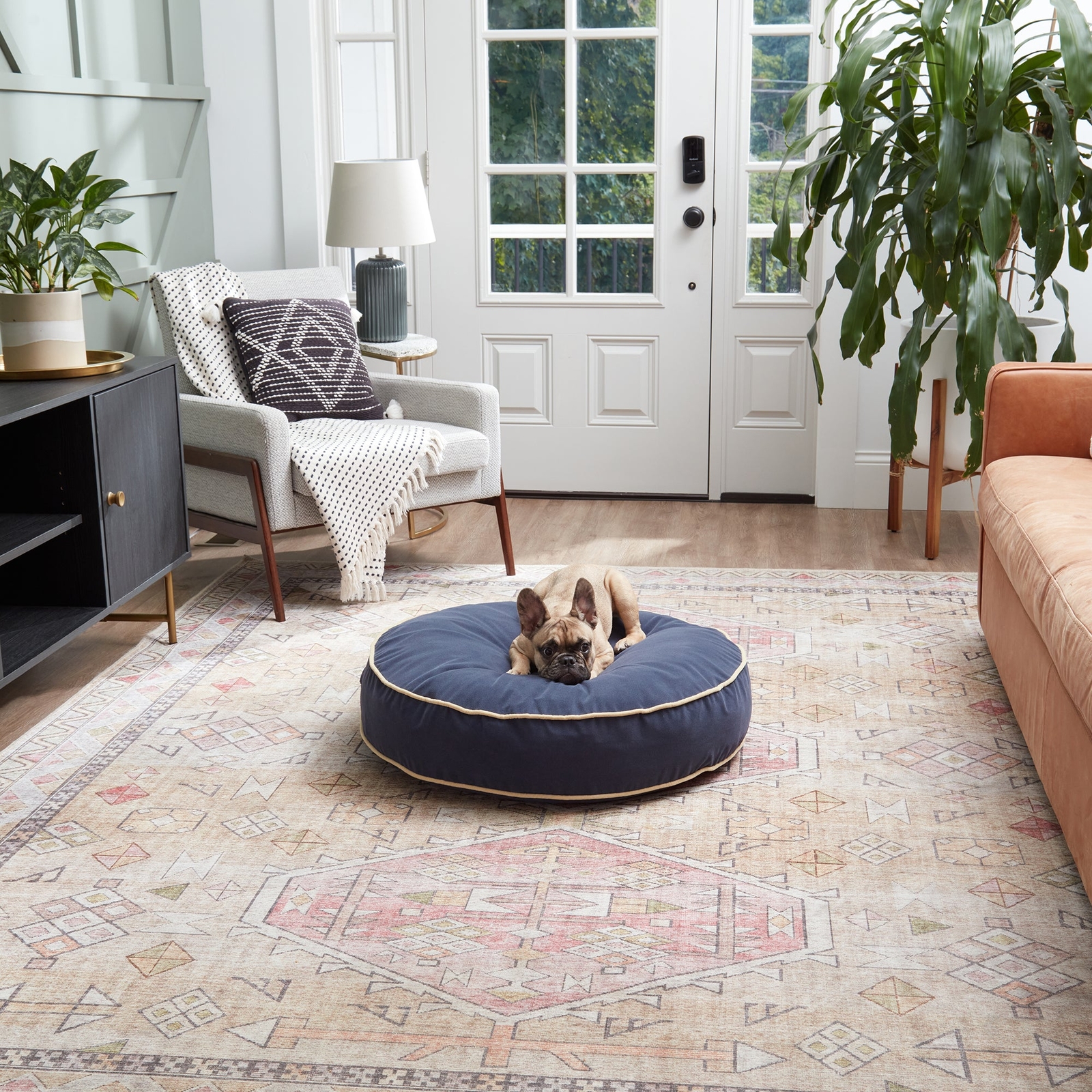 Scout Deluxe Round Microfiber Pillow Dog Bed