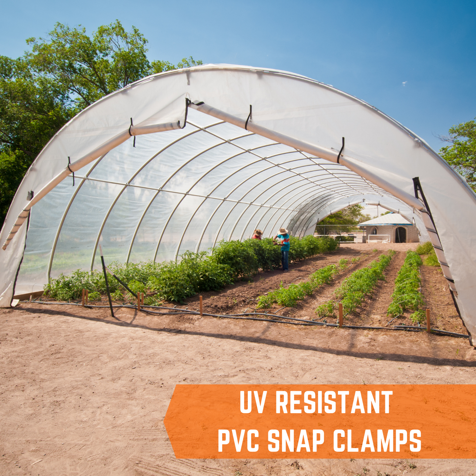 White PVC Greenhouse Clamps - 20 Packs