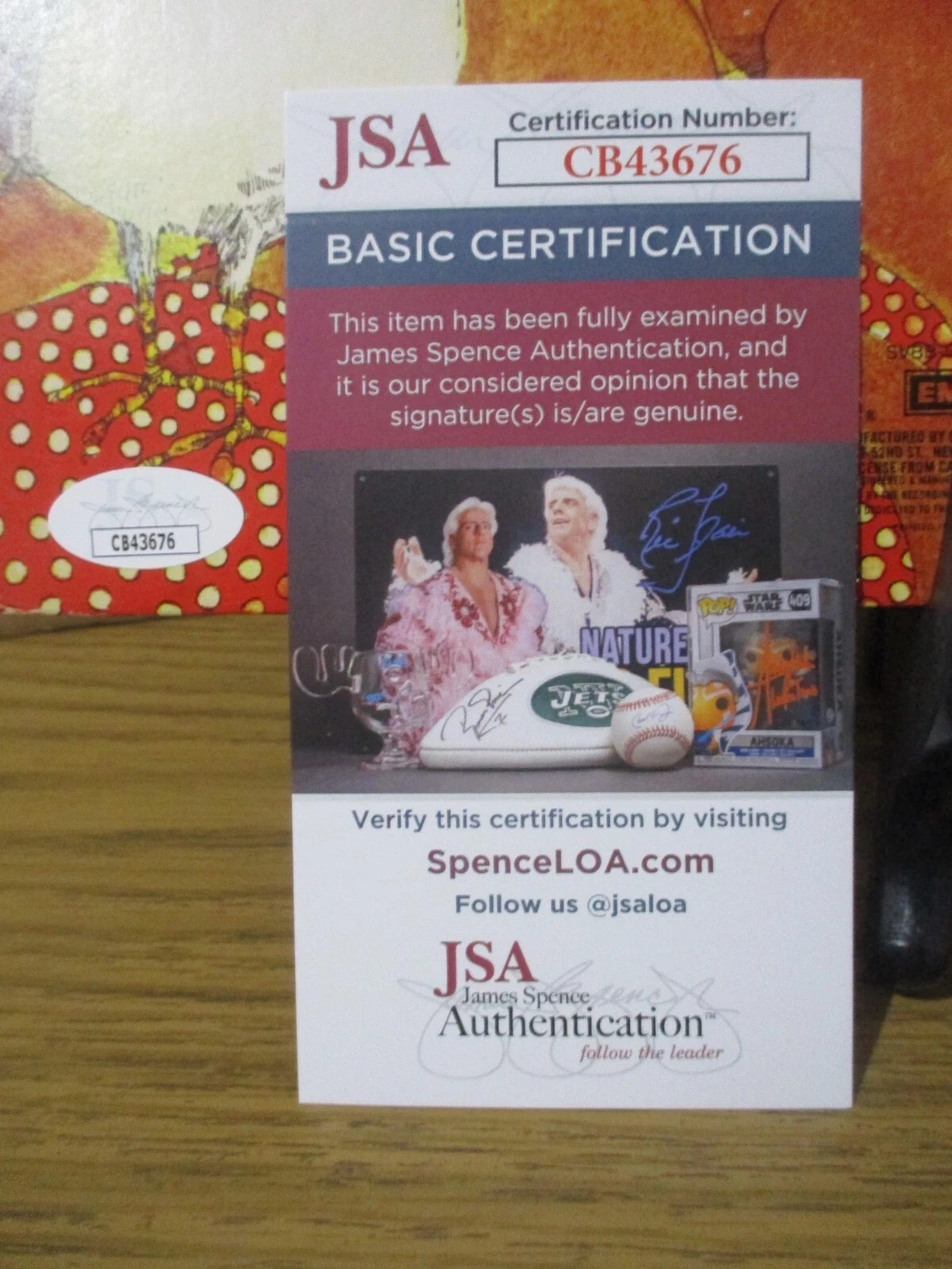 MIKE LOVE (THE BEACH BOYS) AUTHENTIC SIGNED/AUTOGRAPHED VINYL RECORD-JSA CERT