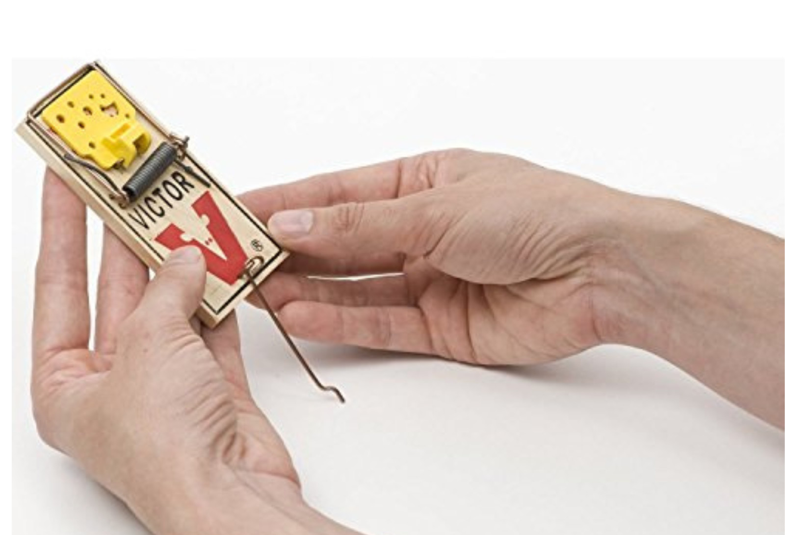 Mouse Trap - ( 4 Count )