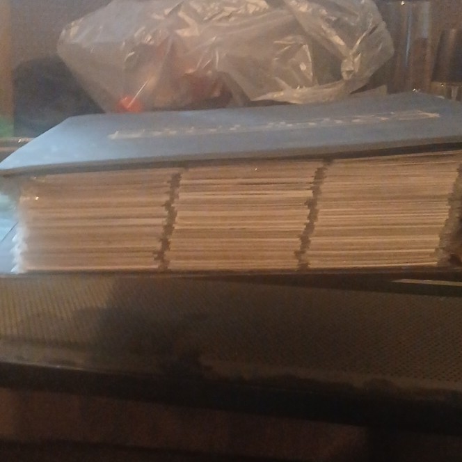 MYSTERY BINDER filled with sport cards