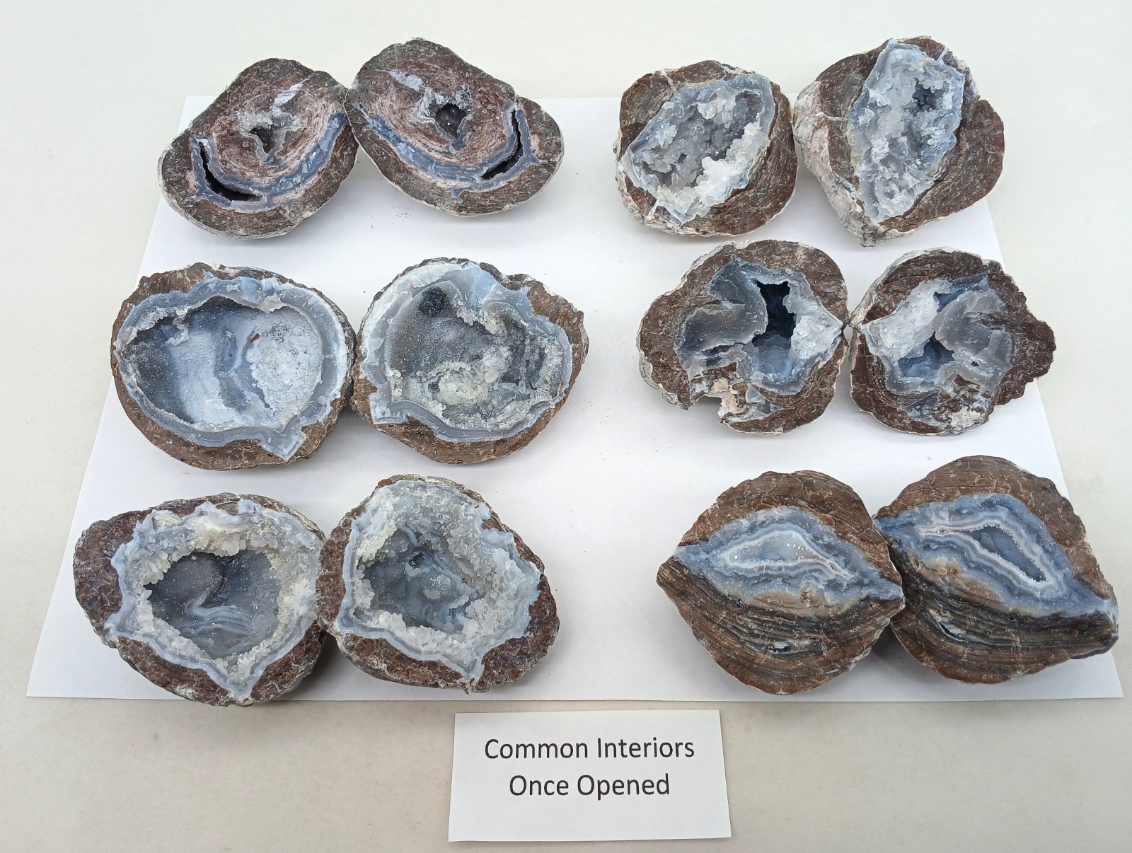 Bulk 2 Pound Group of Small Utah Dugway Geodes Thundereggs 1.50-2.00"