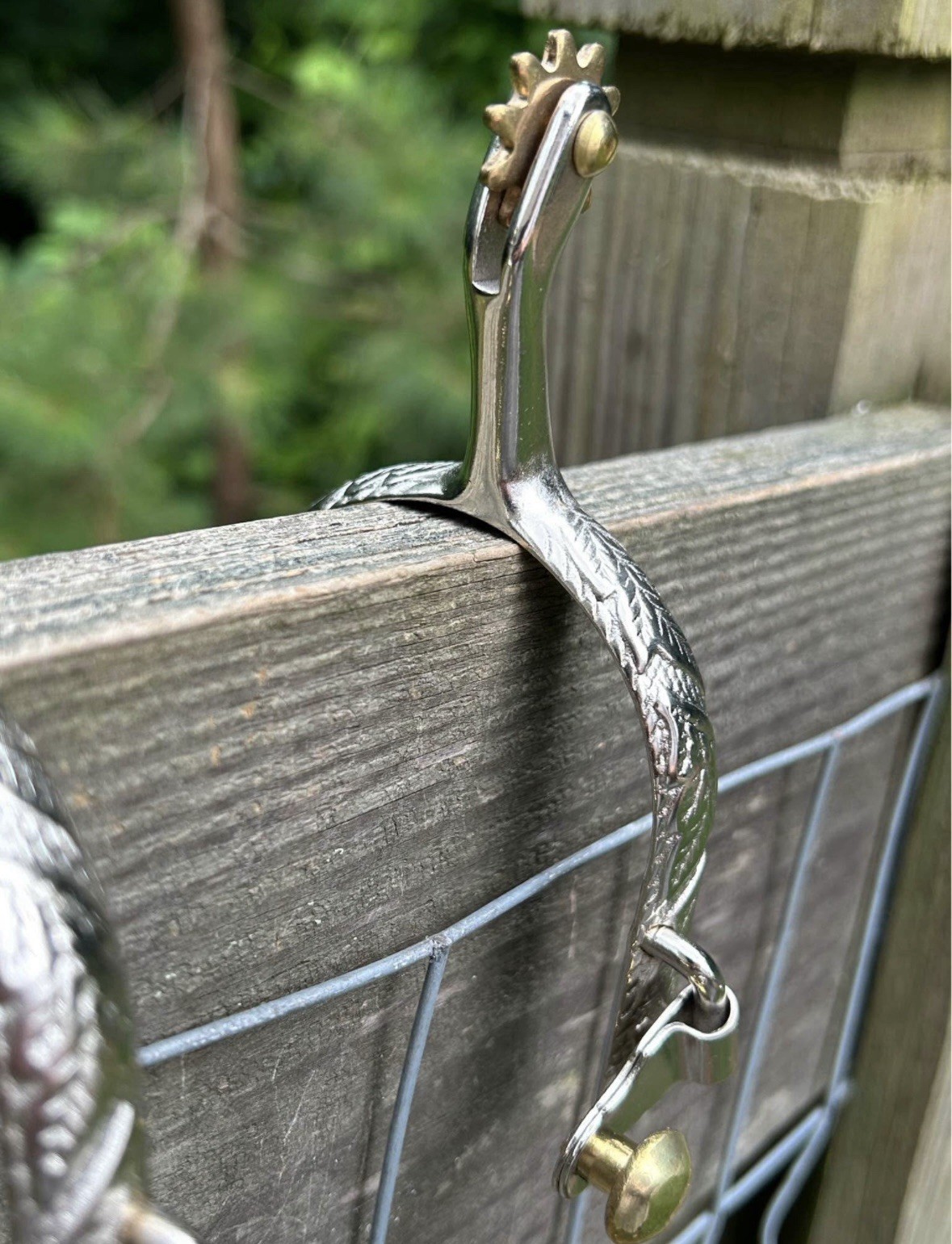 Pair Ladies Western Engraved Stainless Steel Spurs Brass Rowels And Buttons