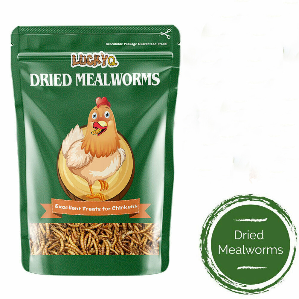 Bulk Dried Mealworms for Wild Blue Birds Hen Reptile Treats Non-GMO 11 44LBS LOT