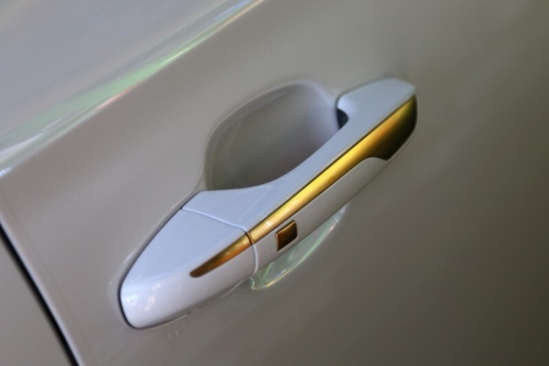 Universal Plater Chrome Edition - Automotive Gold Plating Machine - w/8oz gold