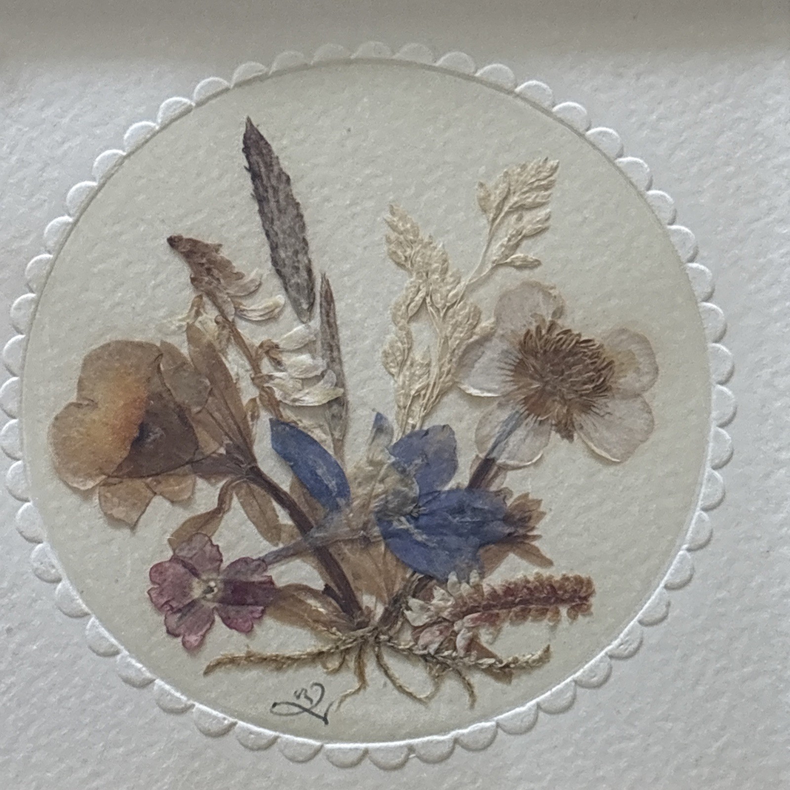 Vintage Dried Pressed Flowers Leaves Framed Wall Hanging Small GDR East Germany