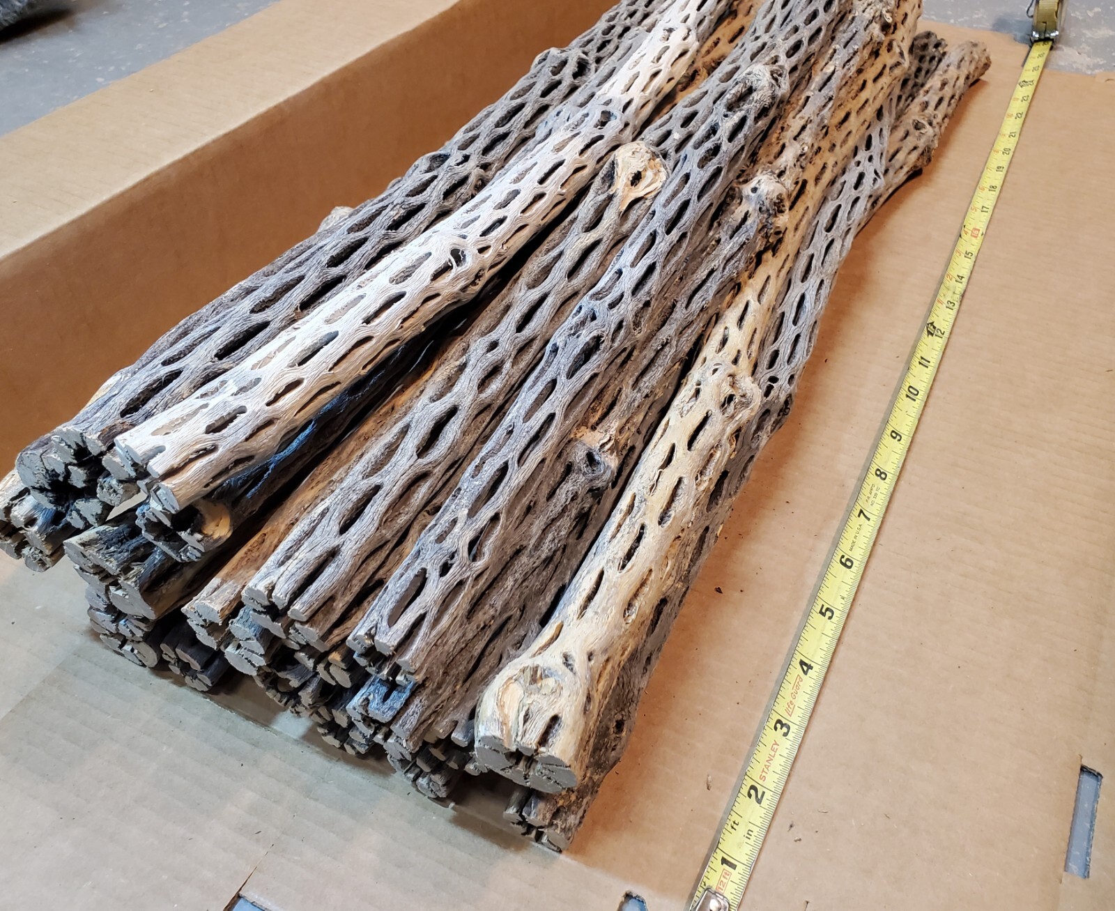 NEW! 3 CHOLLA Wood Pieces 24" inch EXTRA LONG Straight | Organic Aquarium Craft