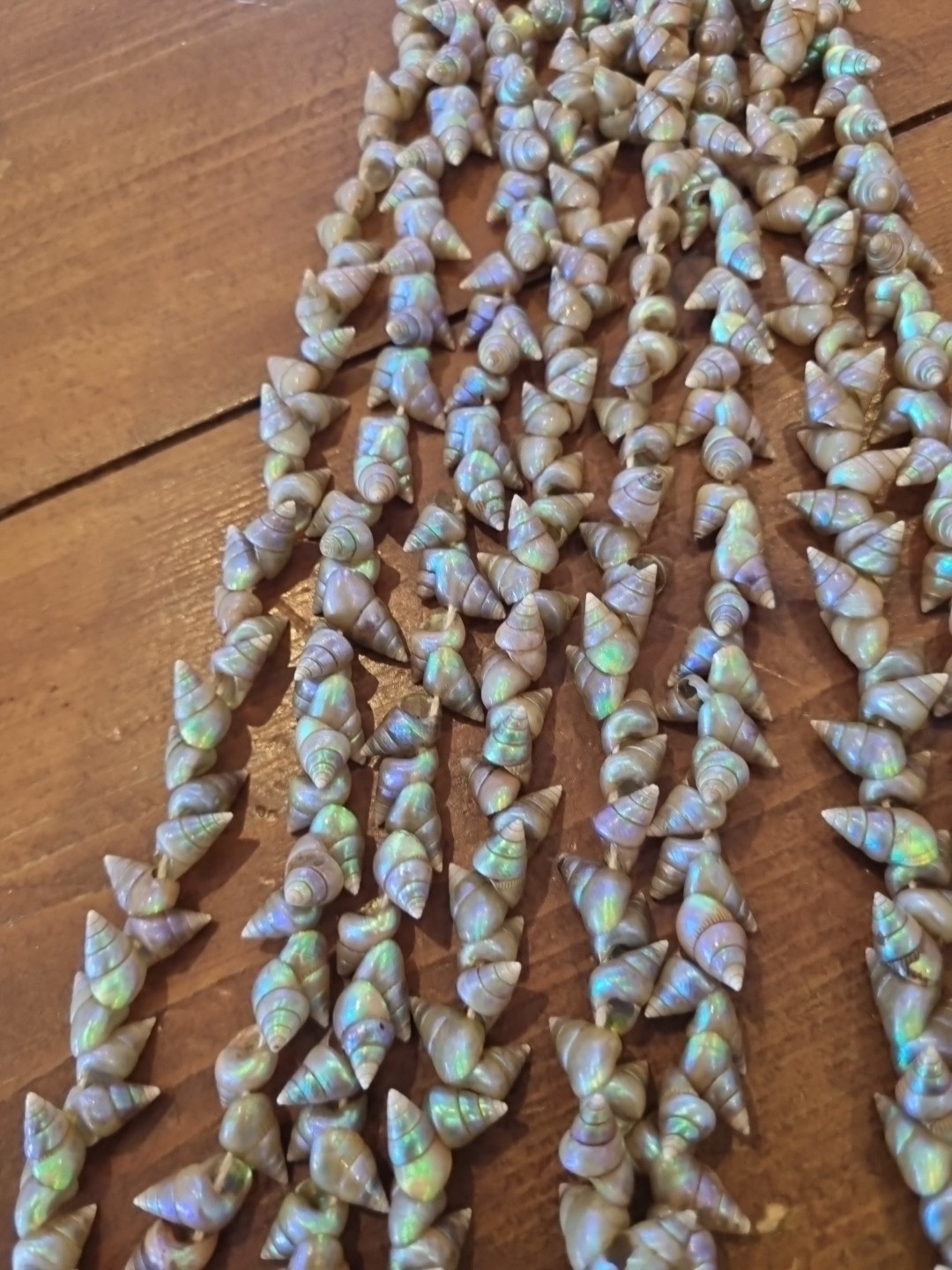 SUPERB VINTAGE TASMANIAN ABORIGINAL MAIREENER SHELL NECKLACE LONG 123cms 1930s