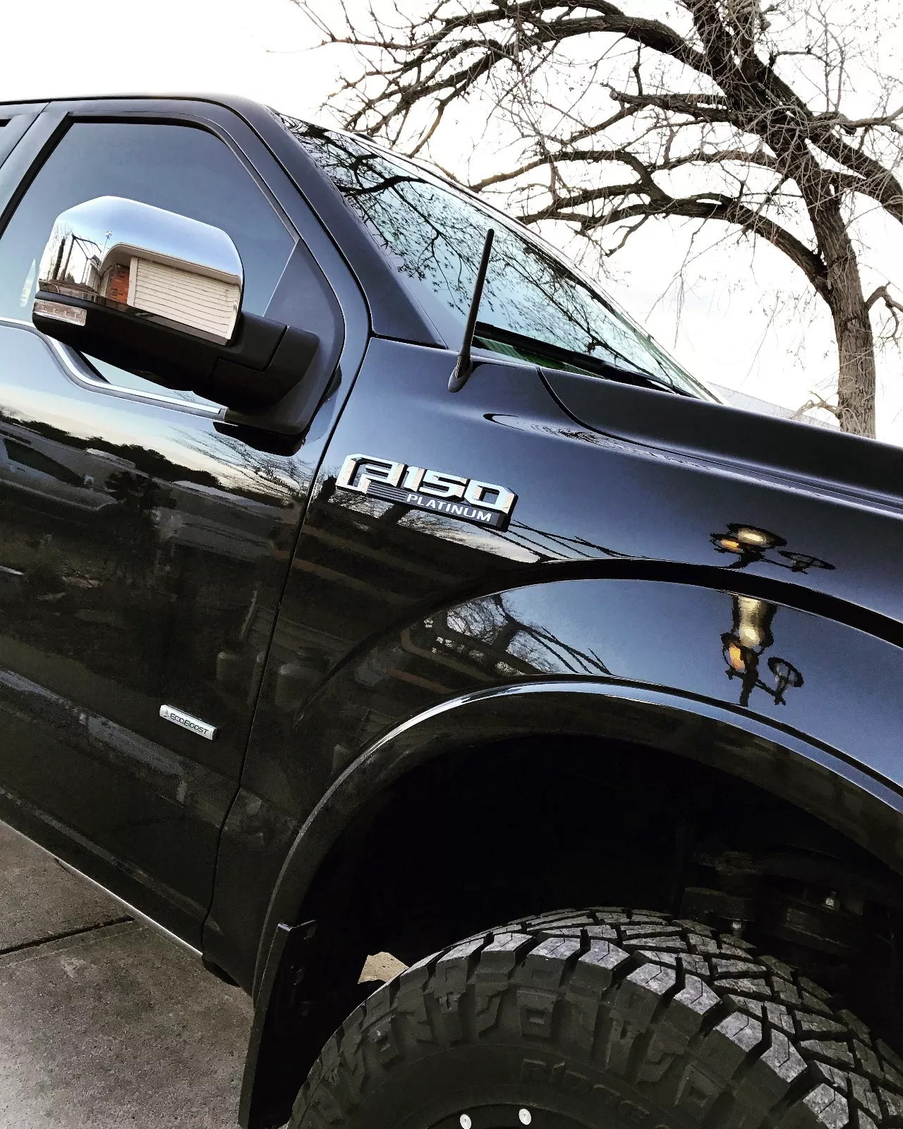 Short Antenna For Ford F-150 (2009-2023) - 6 3/4" ANTENNA MAST - CAR WASH PROOF#