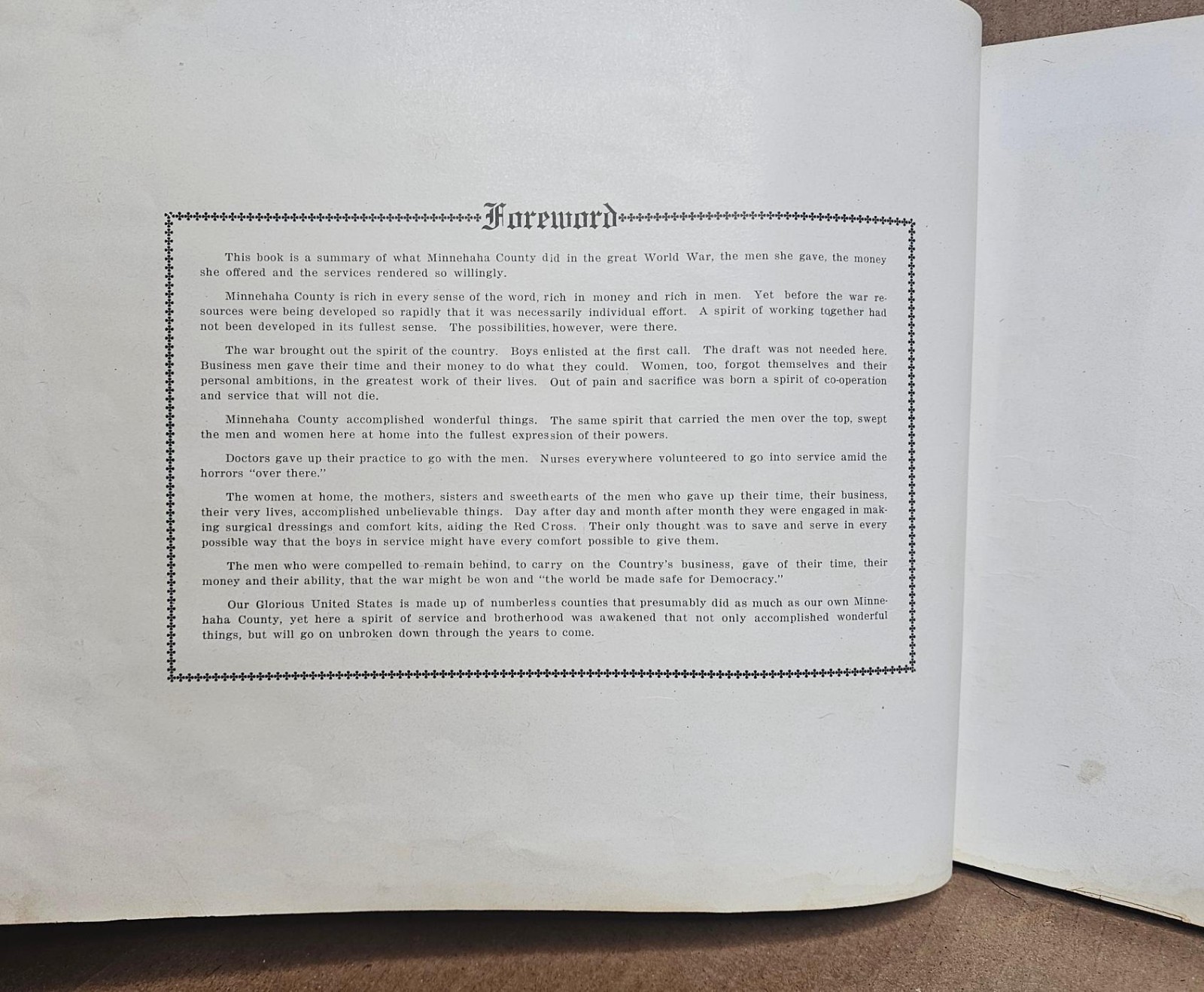 Minnehaha County In the World War 1917-1918-1919 South Dakota Hardcover 1919