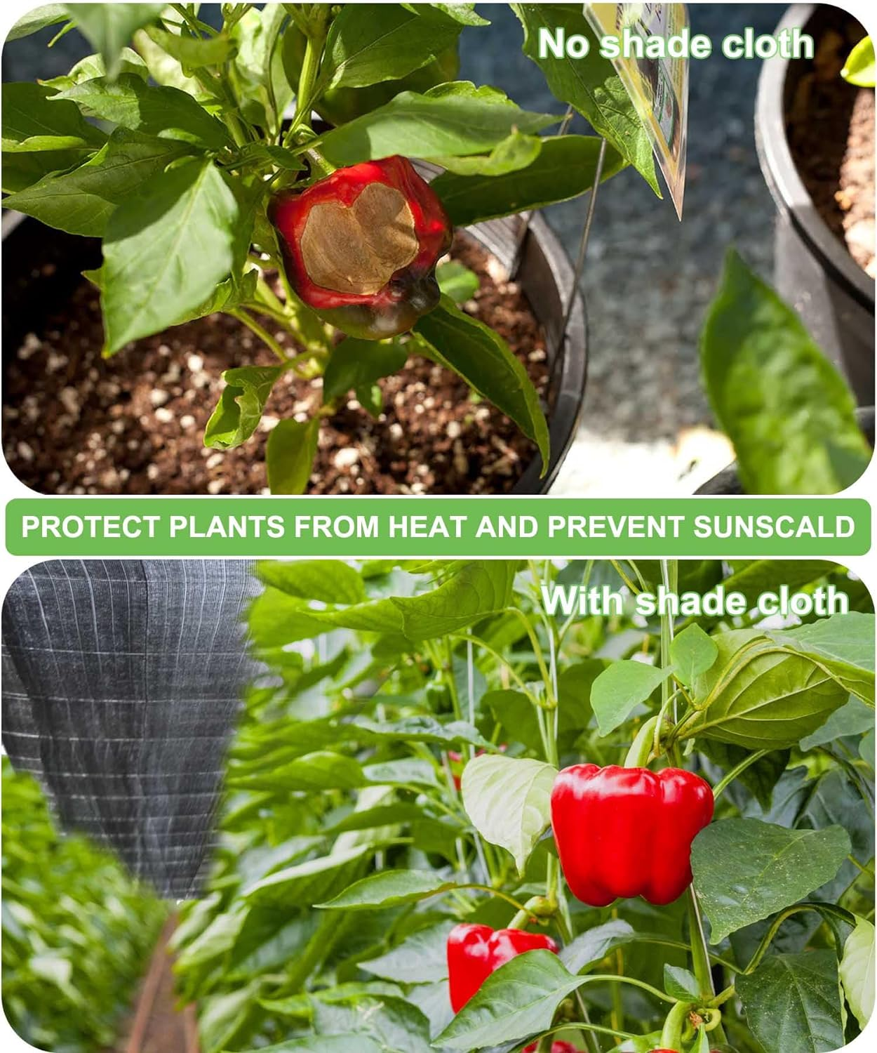 Garden 40% Shade Cloth 10 X 20 Ft Shade Mesh Tarp With Reinforced Brass Grommets