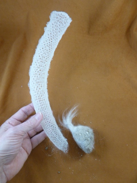 (W81-9) 12" natural VENUS GLASS SPONGE specimen FLOWER BASKET Weird Wedding gift