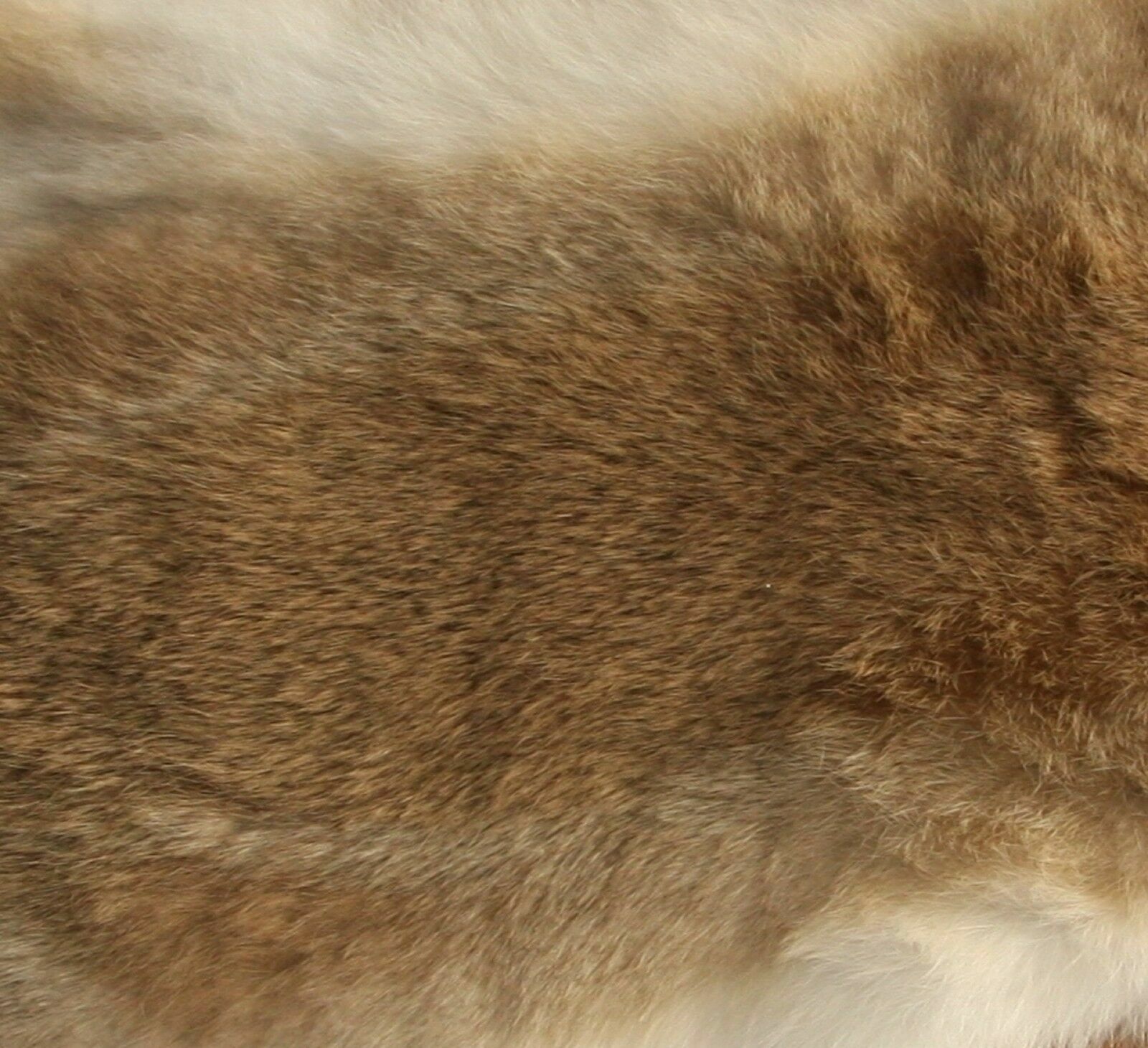 1 X Tanned Rabbit Skin Hide Pelt For Craft Animal Fur Decor Natural 8''-14''