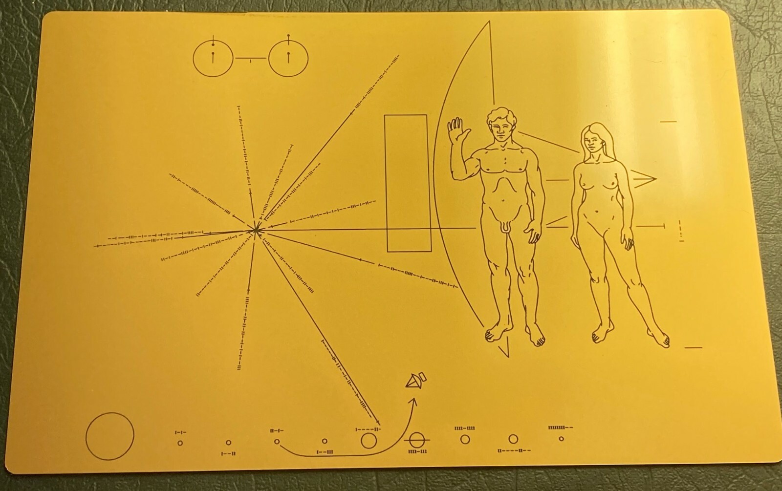 NASA VOYAGER GOLDEN Record + Pioneer plaque with explanation plaques
