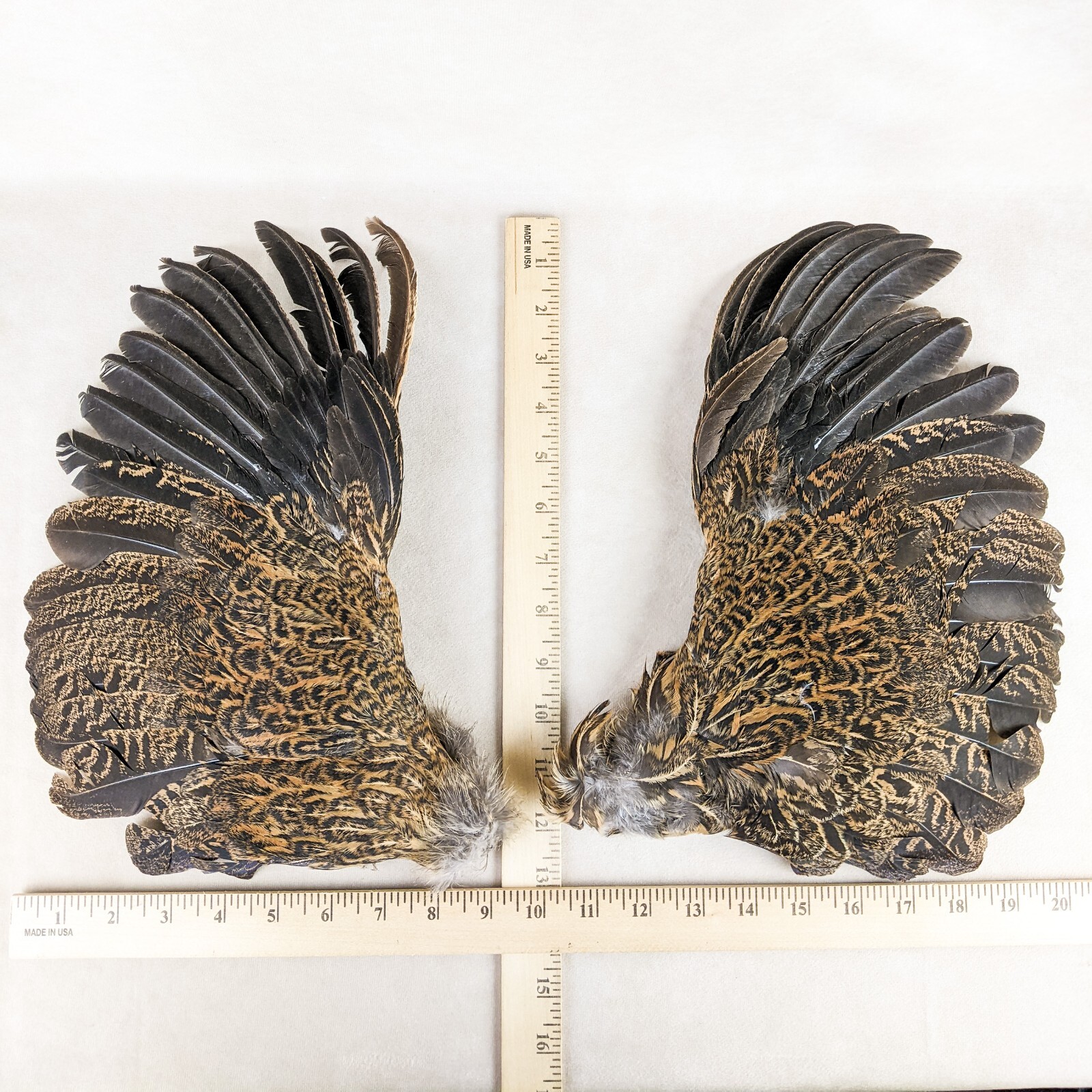 Chicken 13" Rooster Brown/Grey Wings Taxidermy curiosity Craft Bird Feather gift