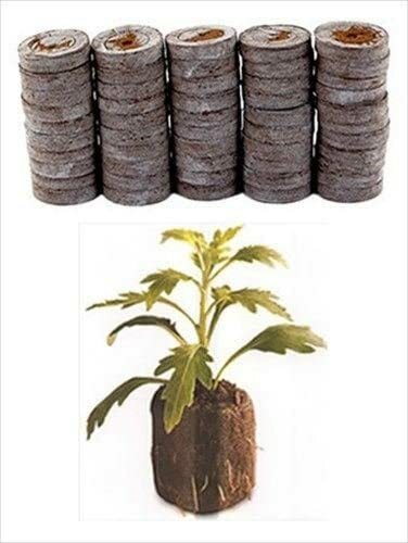 Peat Pellets 30mm Jiffy FAST SHIP lots-10,25,50,75,100,200 Growing Seed Starting