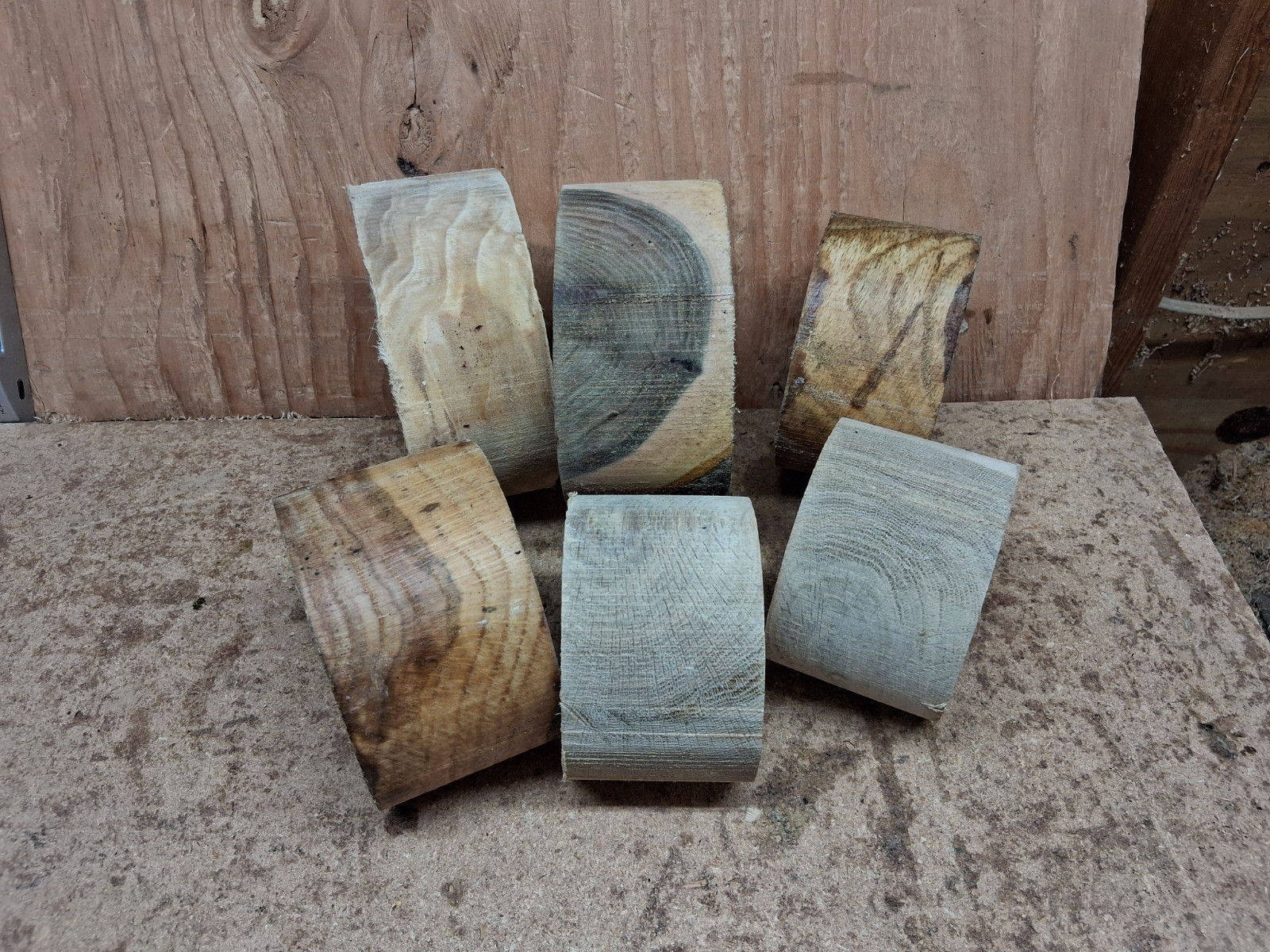 Black Walnut Pin Red Oak Silver Poplar Wood Turning Bowl Blanks 6pc