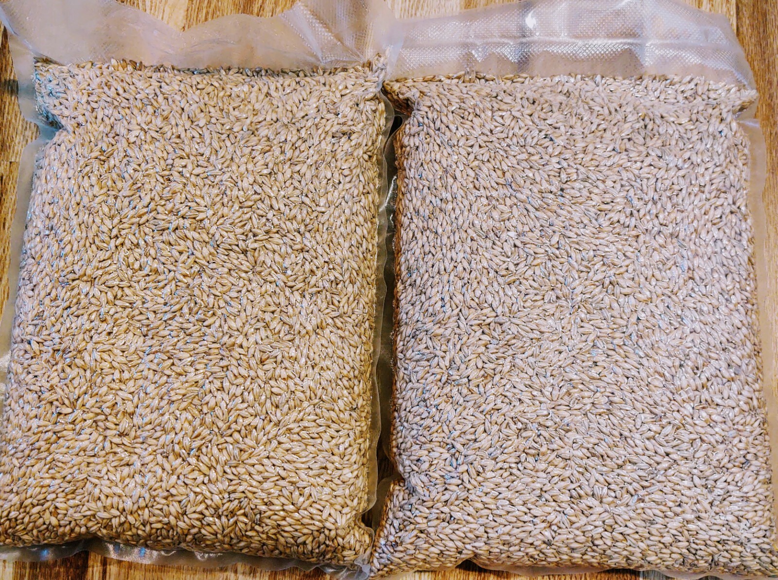 Caramel Malt 10L Briess 10 lb Homebrewing Beer Making Vacuum Packed Freshness