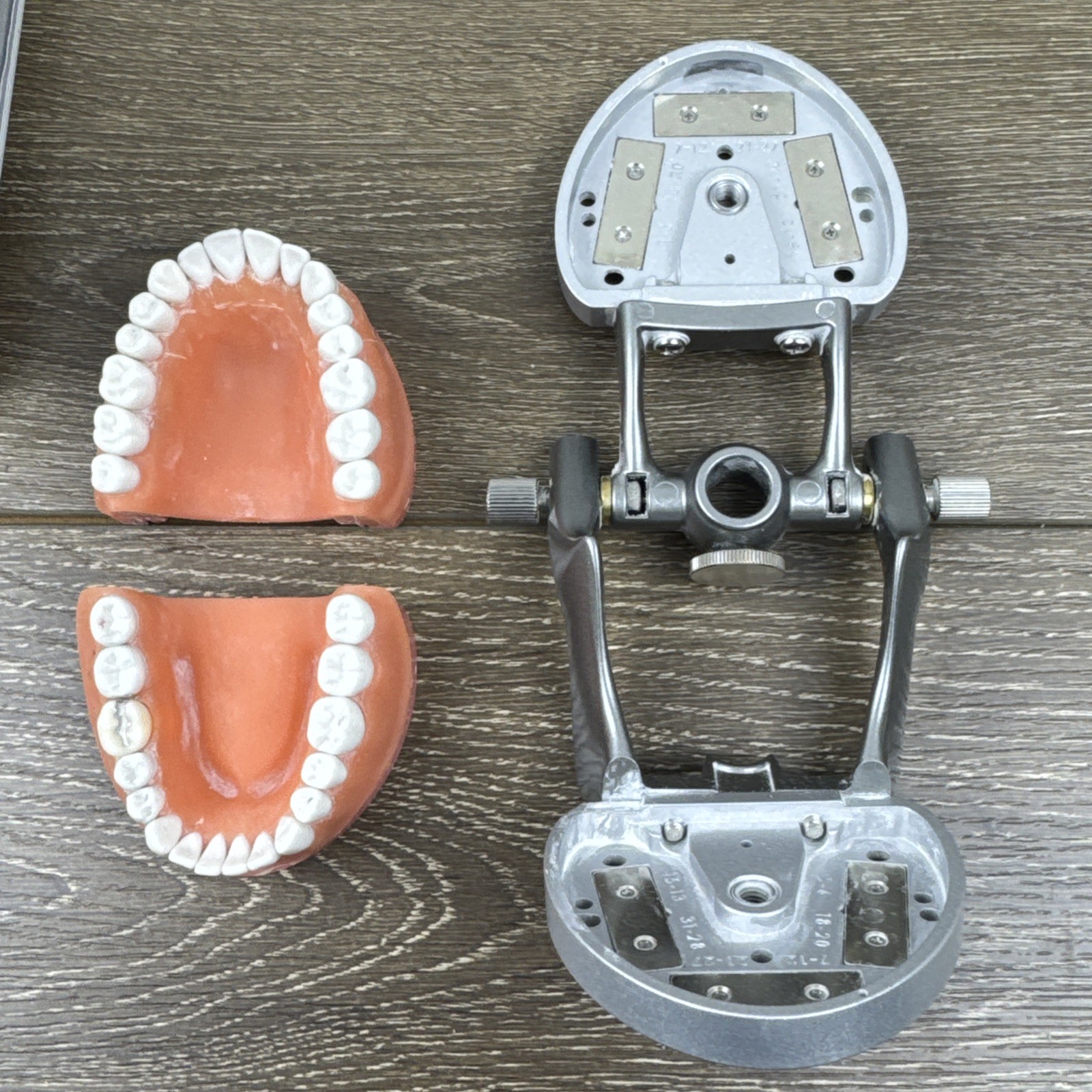 Acadental ModuPRO MP_R320 Restoration Typodont & Case WREB CDCA ADEX Teeth #54