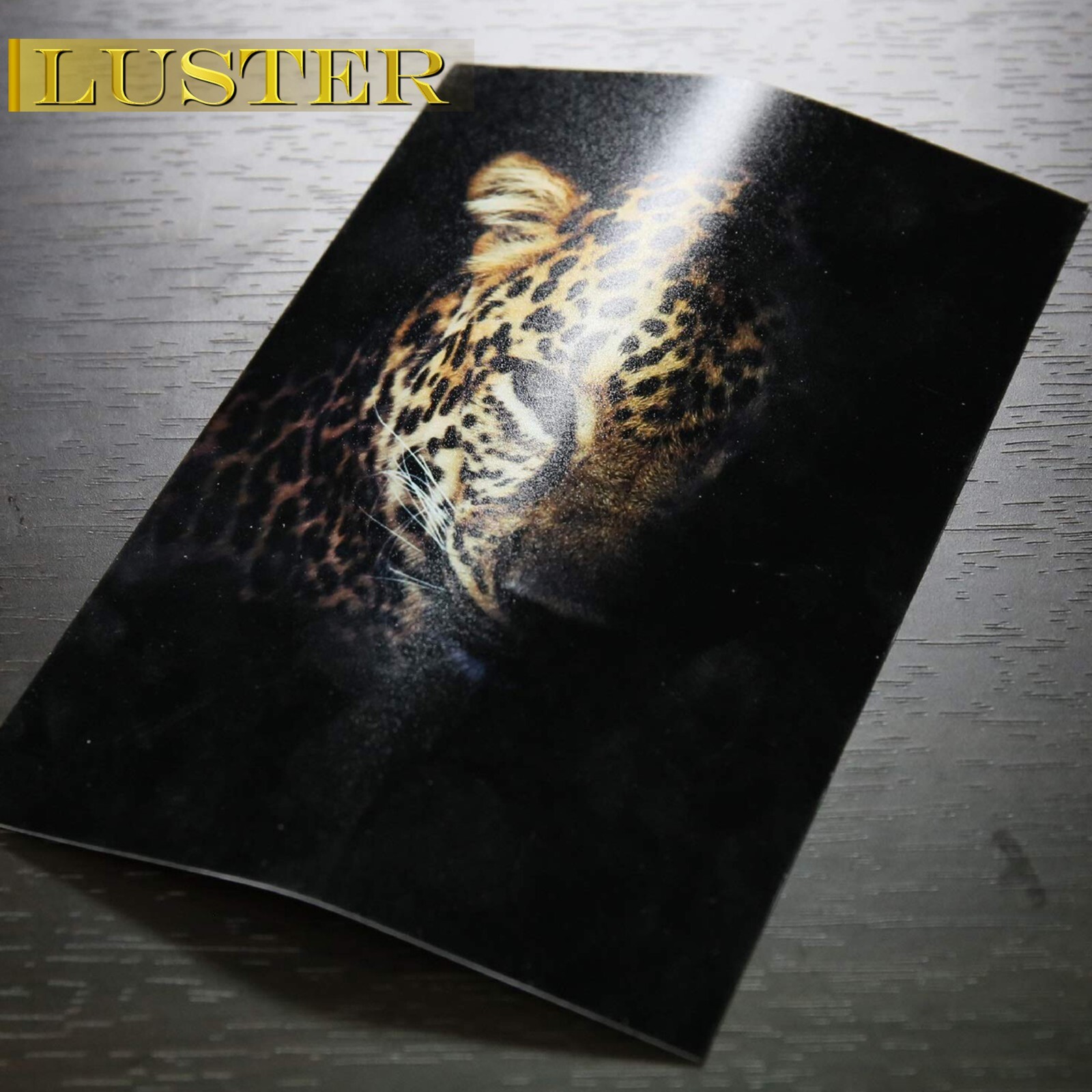 A-SUB Pro Luster Photo Paper 13X19 for Inkjet Printer 250g Semi Gloss 50 PK 66lb