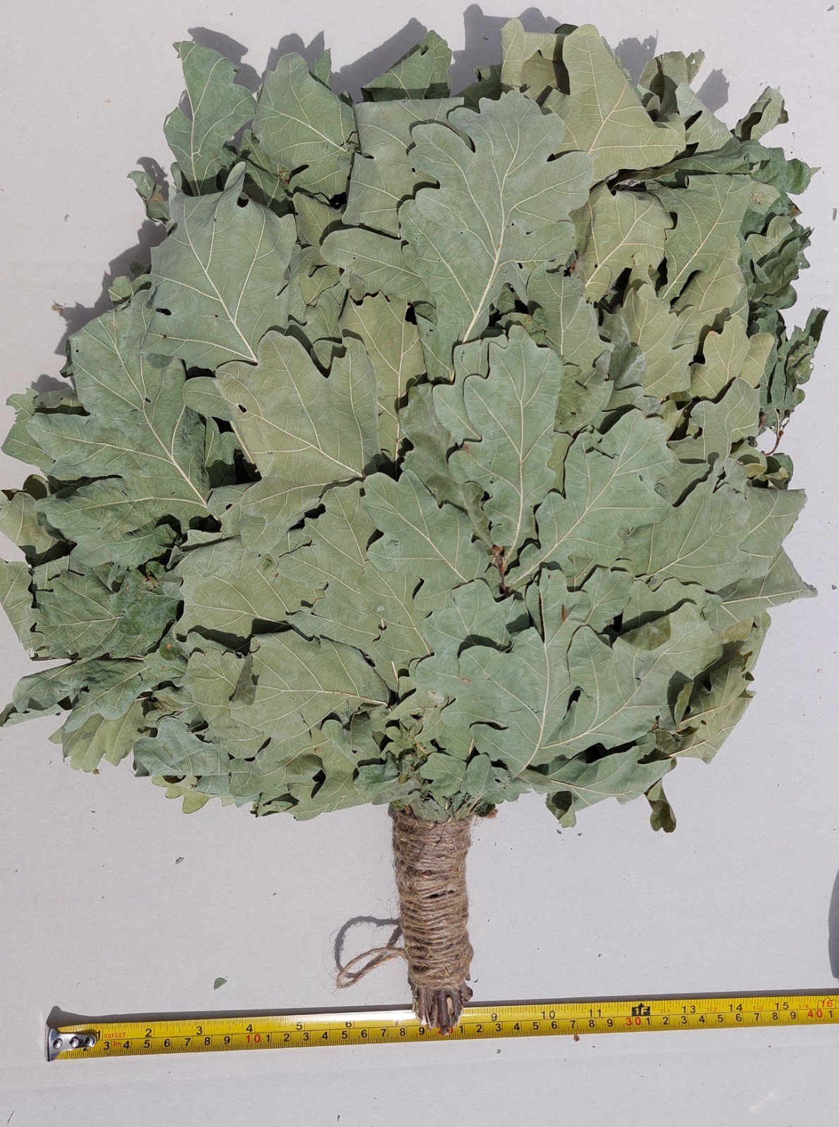 12st Oak brooms+herbs sauna banya venik whisks Eiche eco 2025 Ukrainian free shi