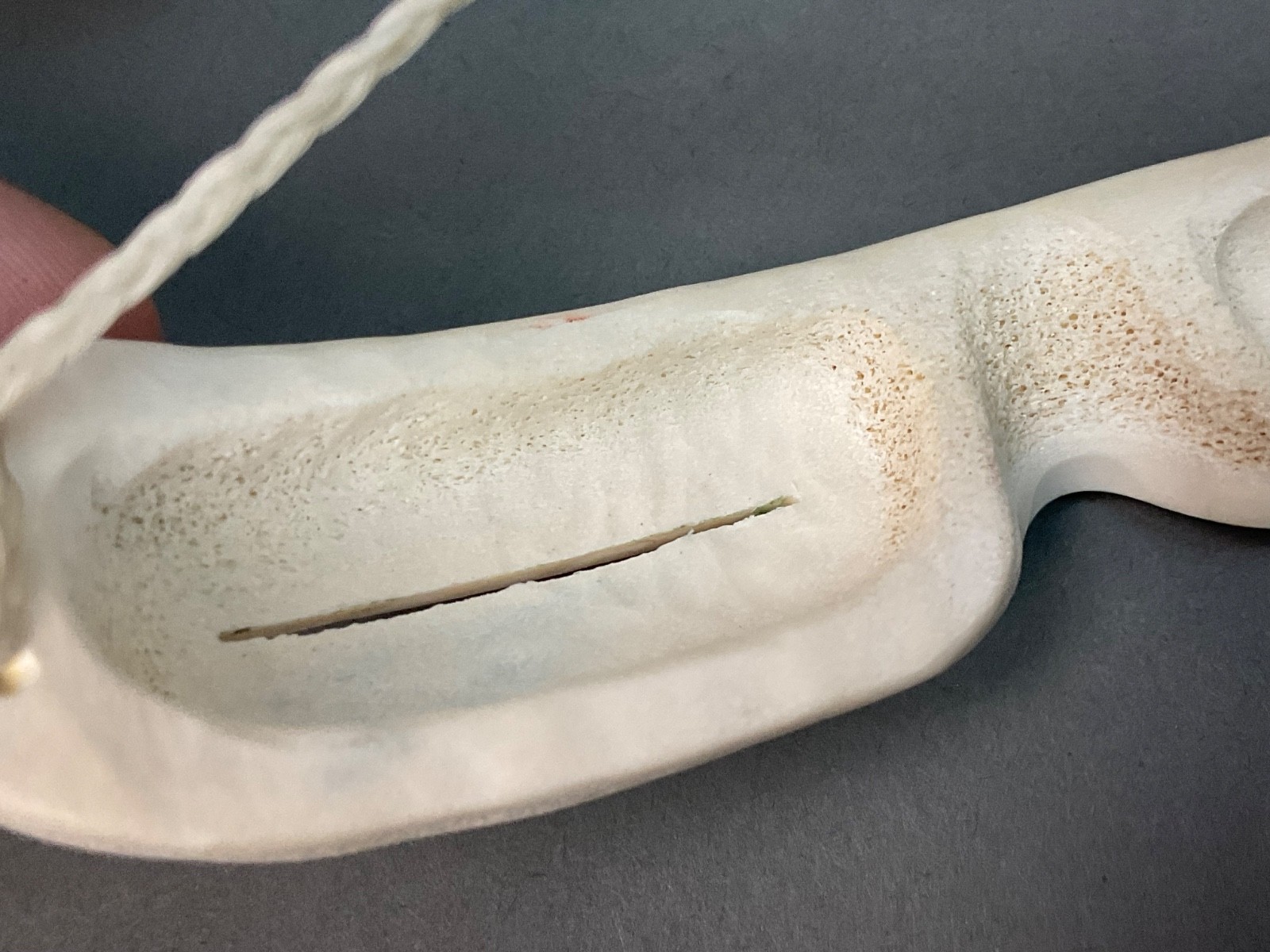 Vtg. Eskimo Snow Goggles Hand Carved Alaskan Canada Inuit Caribou Antler