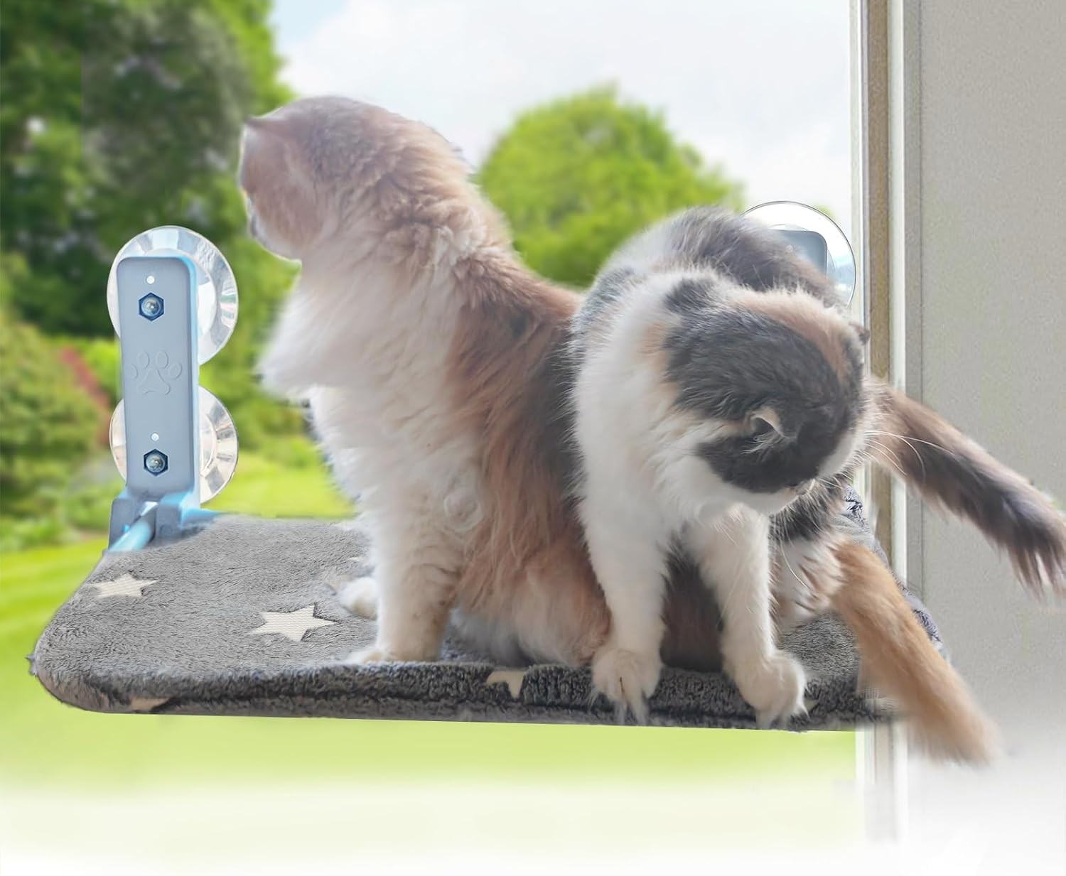 Foldable Cat Hammock for Window Glow in the Dark Cordless Cat Window Perch