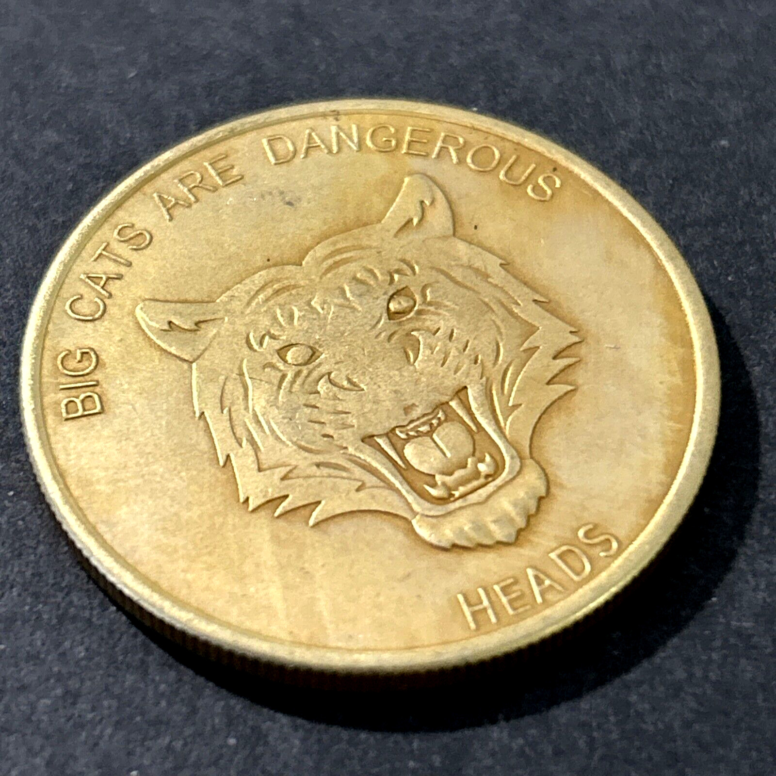 Sexy Girl Good Luck Adult Flip Heads Tails Token Pocket Coin💥SEE PHOTOS!