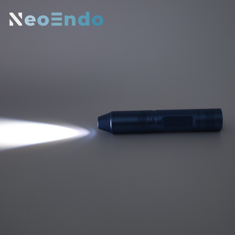 Rechargeable Portable Endoscope Light Source LED 10W For ENT Inspection