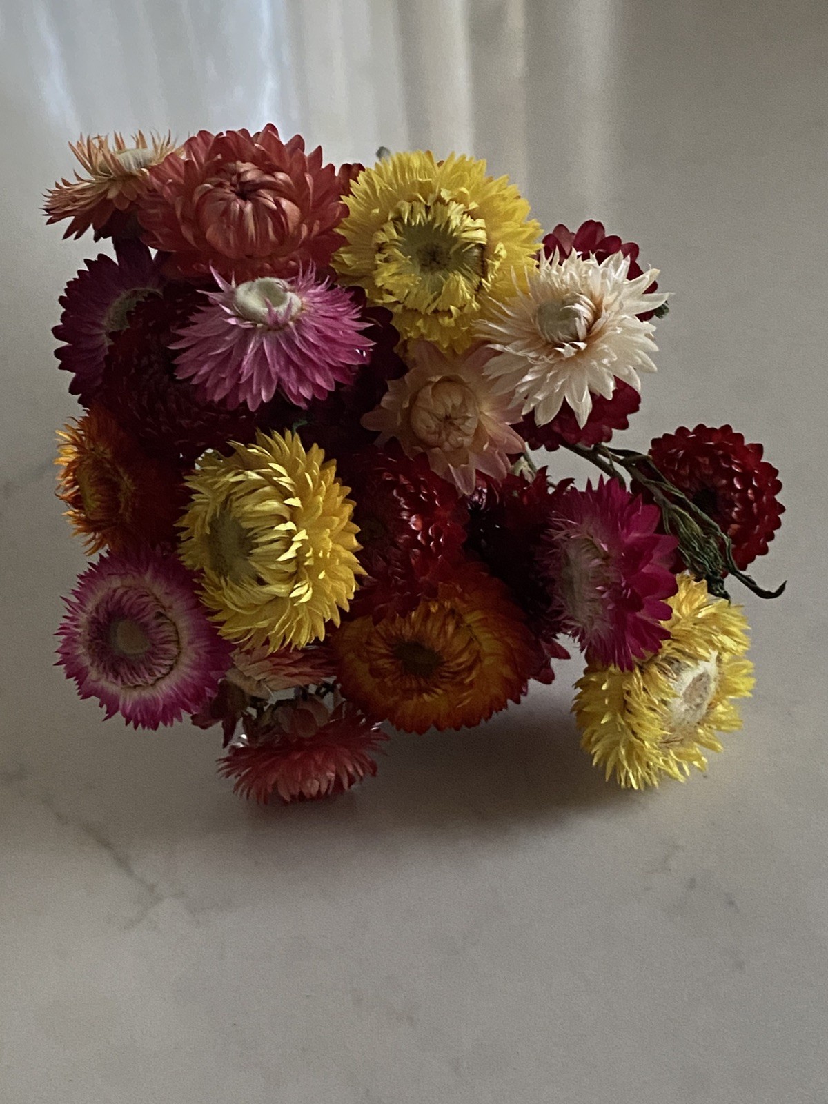 Beautiful STRAWFLOWERS Assorted Bunch BOUQUET Bundle DRIED Flowers USA Auc#3