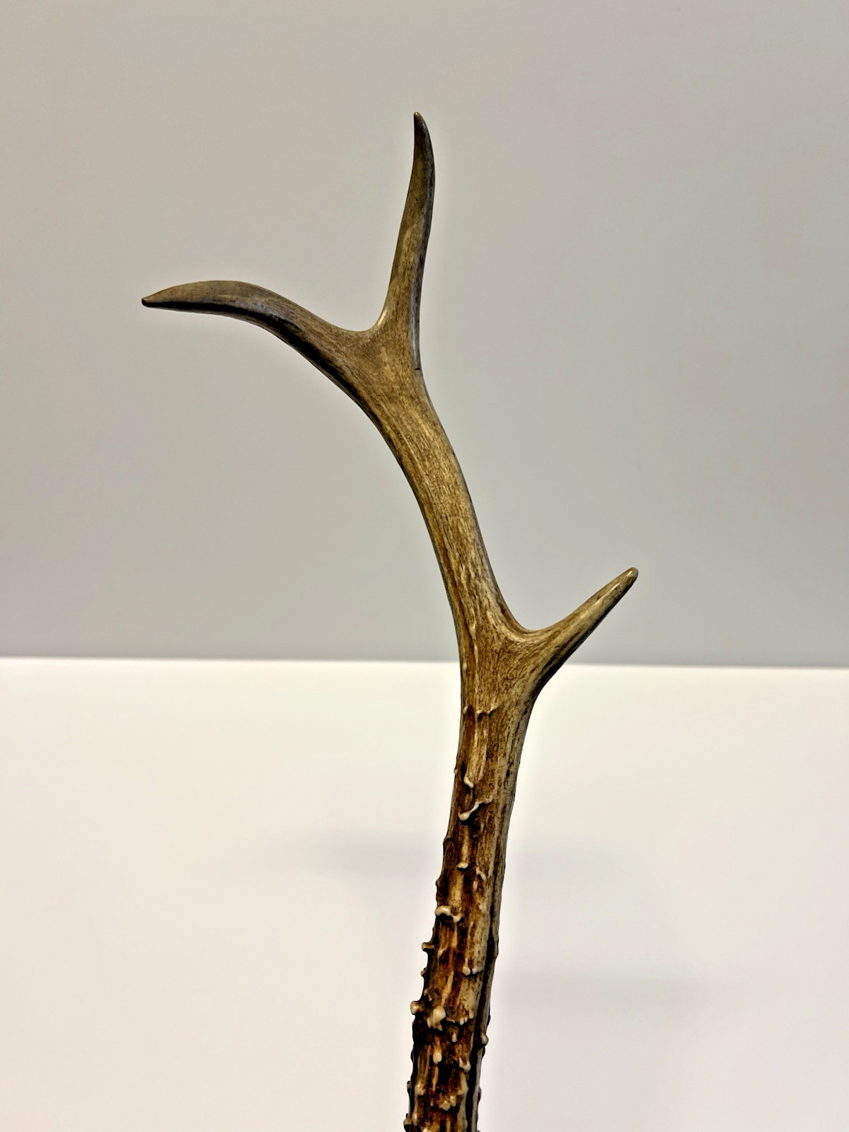 Antique Original Native American Indian Ceremonial Deer Antler Brush;