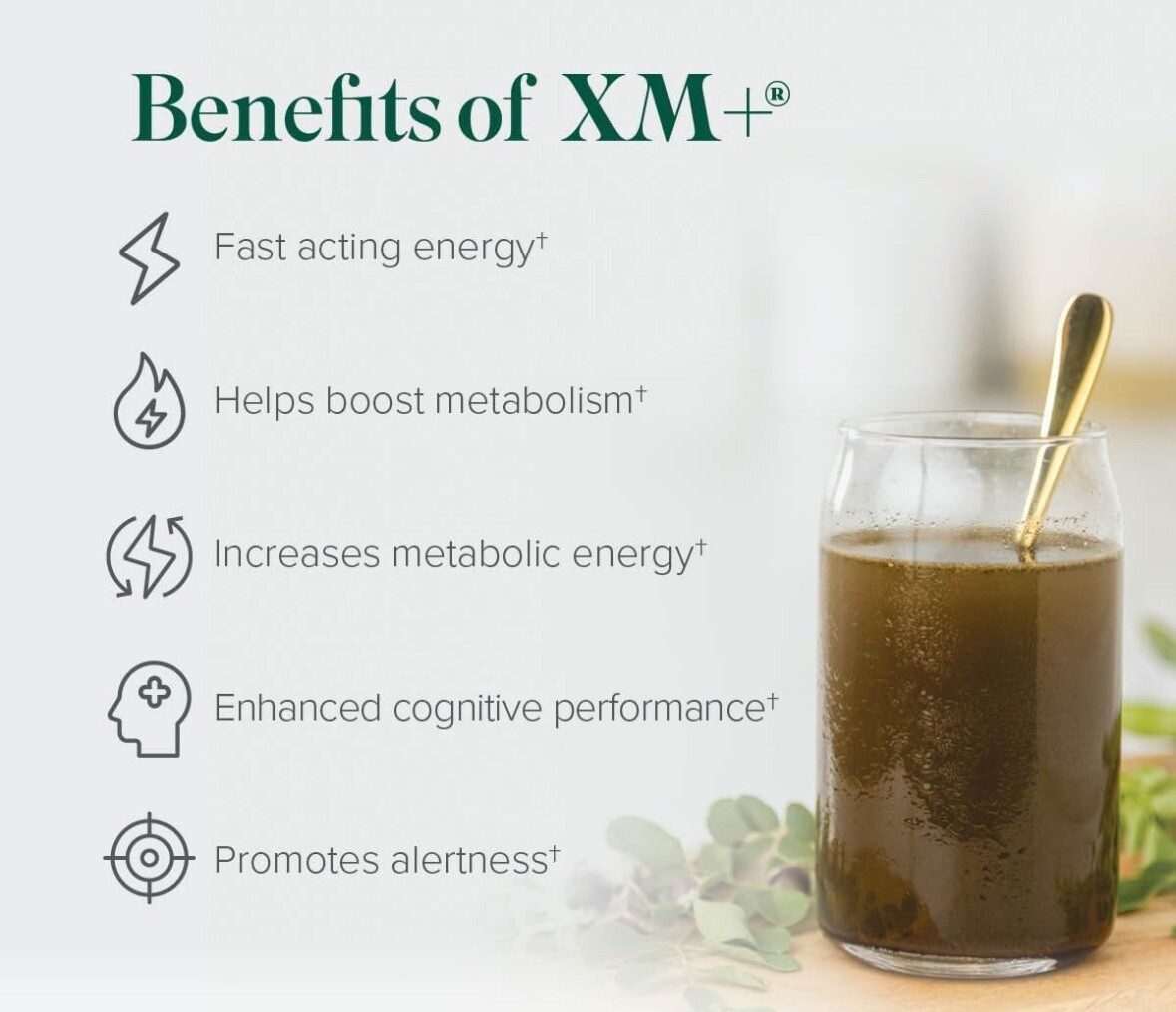 X5 Single Sachets Core Moringa ZIJA XM+ Extreme Energy Nutrition Weight Run Mood