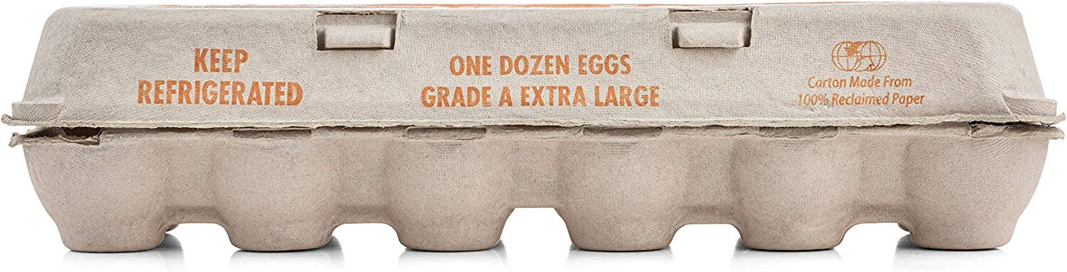 MT Products Printed Pulp XL Paper Egg Cartons Hold Eggs 12 Count - Pack of 10