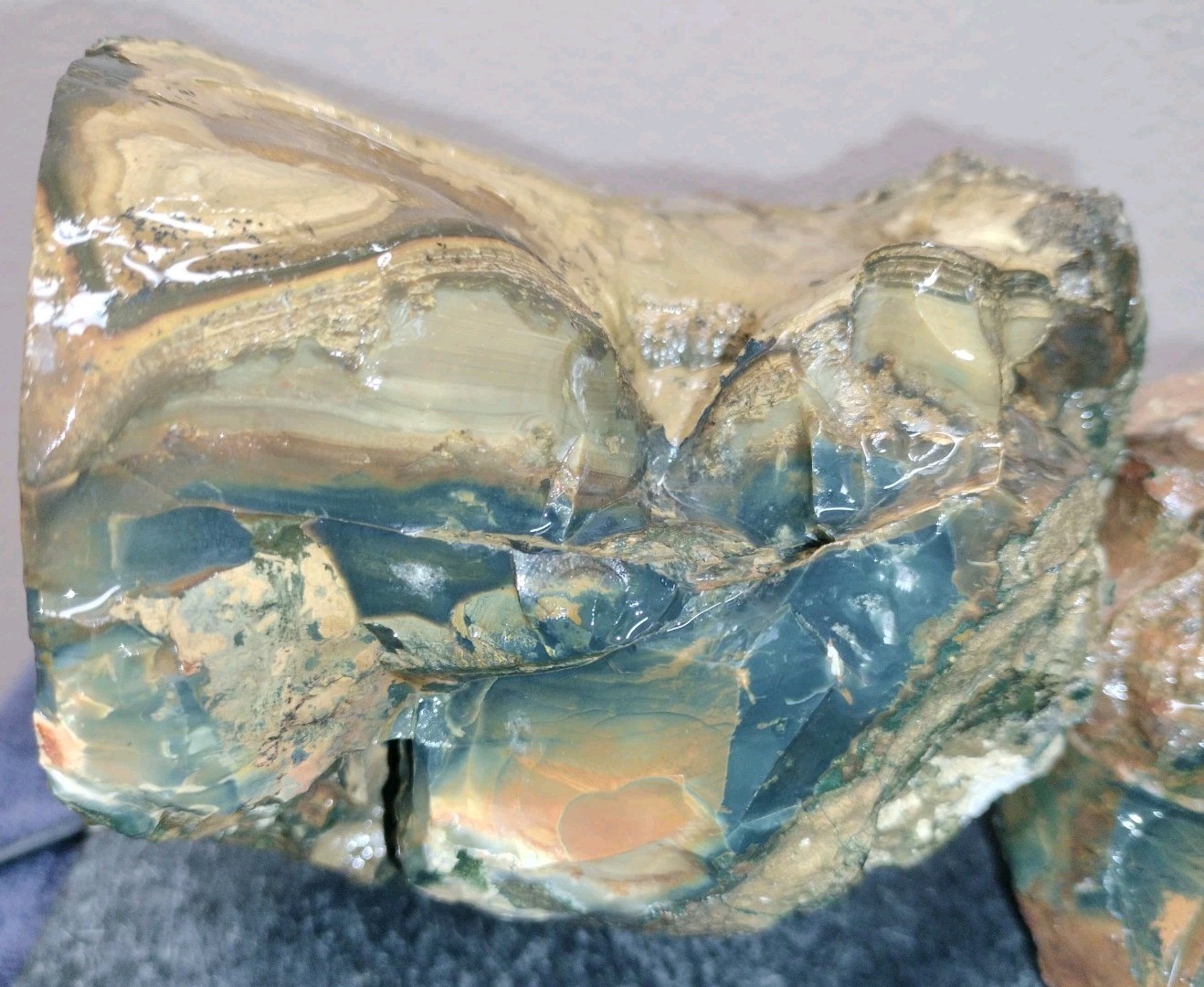 12LB ORBS Blue Mountain Picture of Jasper Rough 4pc Lot #21