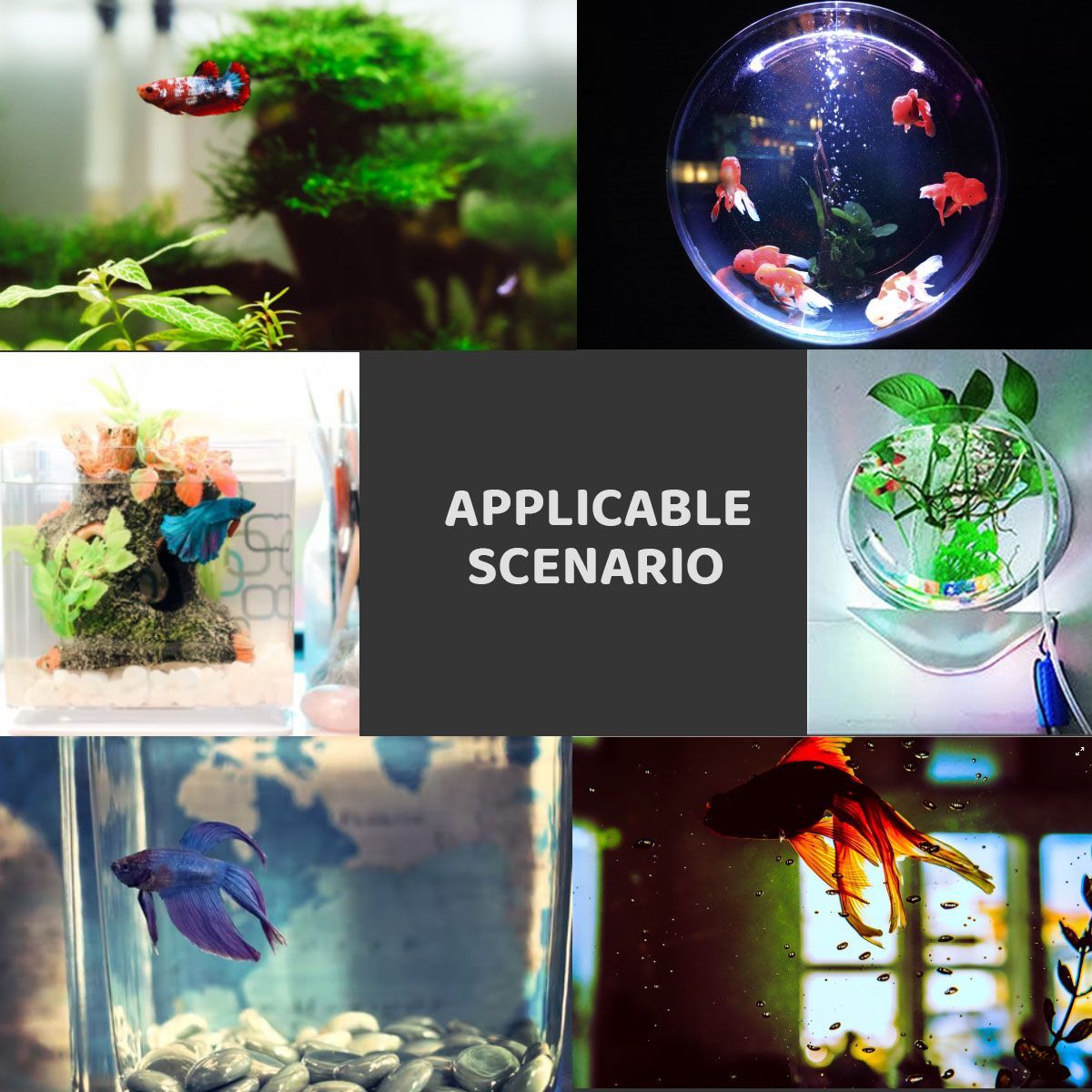 2 in 1 USB Silent Mini Air Pump Aquarium Fish Tank Pump Hydroponic Oxygen Pump