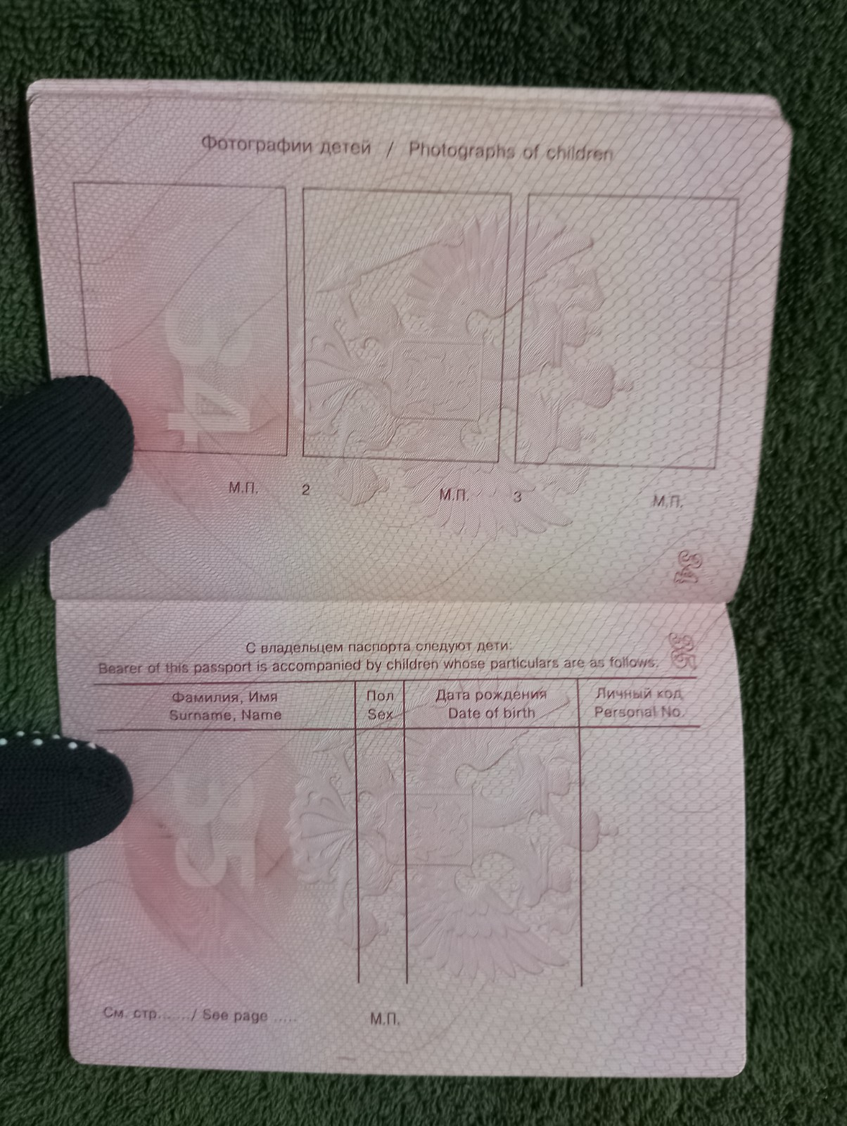 Two foreign travel passports belonging to a female Russian citizen.