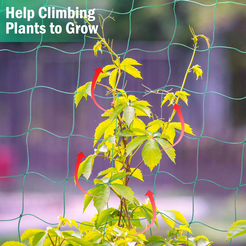 Heavy-Duty Growing Net Garden Trellis Netting for Vine Plants Fruits Flowers Veg