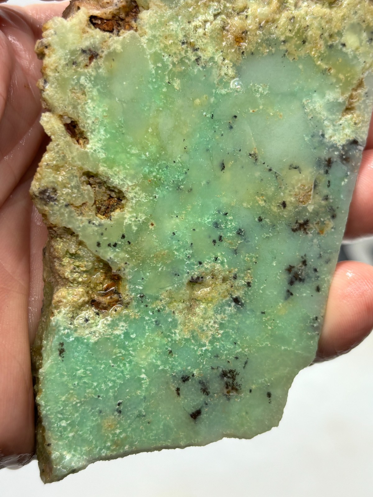 Indo Dendritic Chrysoprase Slab Cabbing Lapidary Collecting Combo Ship Avail