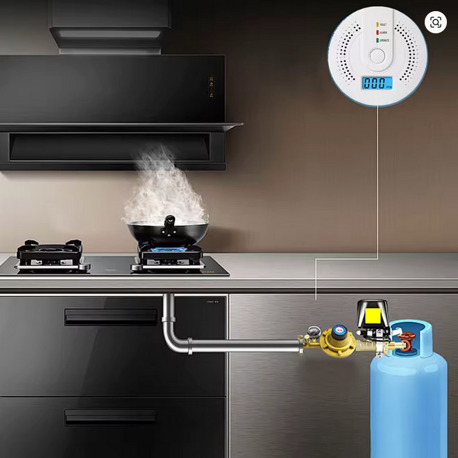 Carbon Monoxide Detector Warning Safety Alarm Sensor LED Digital Battery Powered