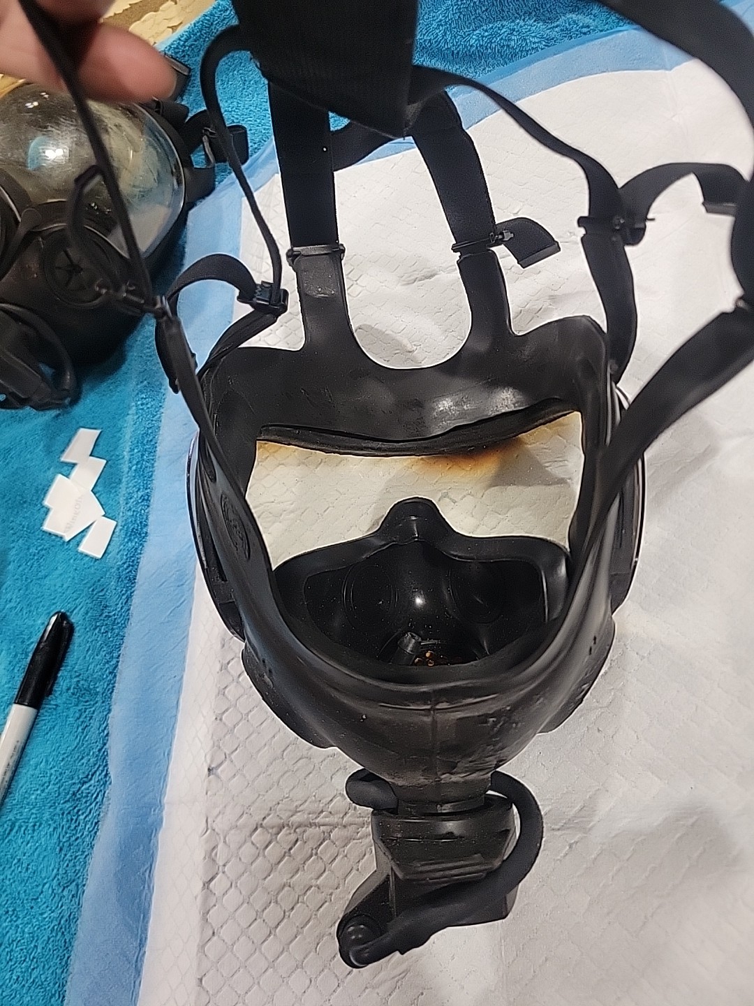 MSA Millennium Riot Control Gas Mask, Size MEDIUM Clear 10051287 A8