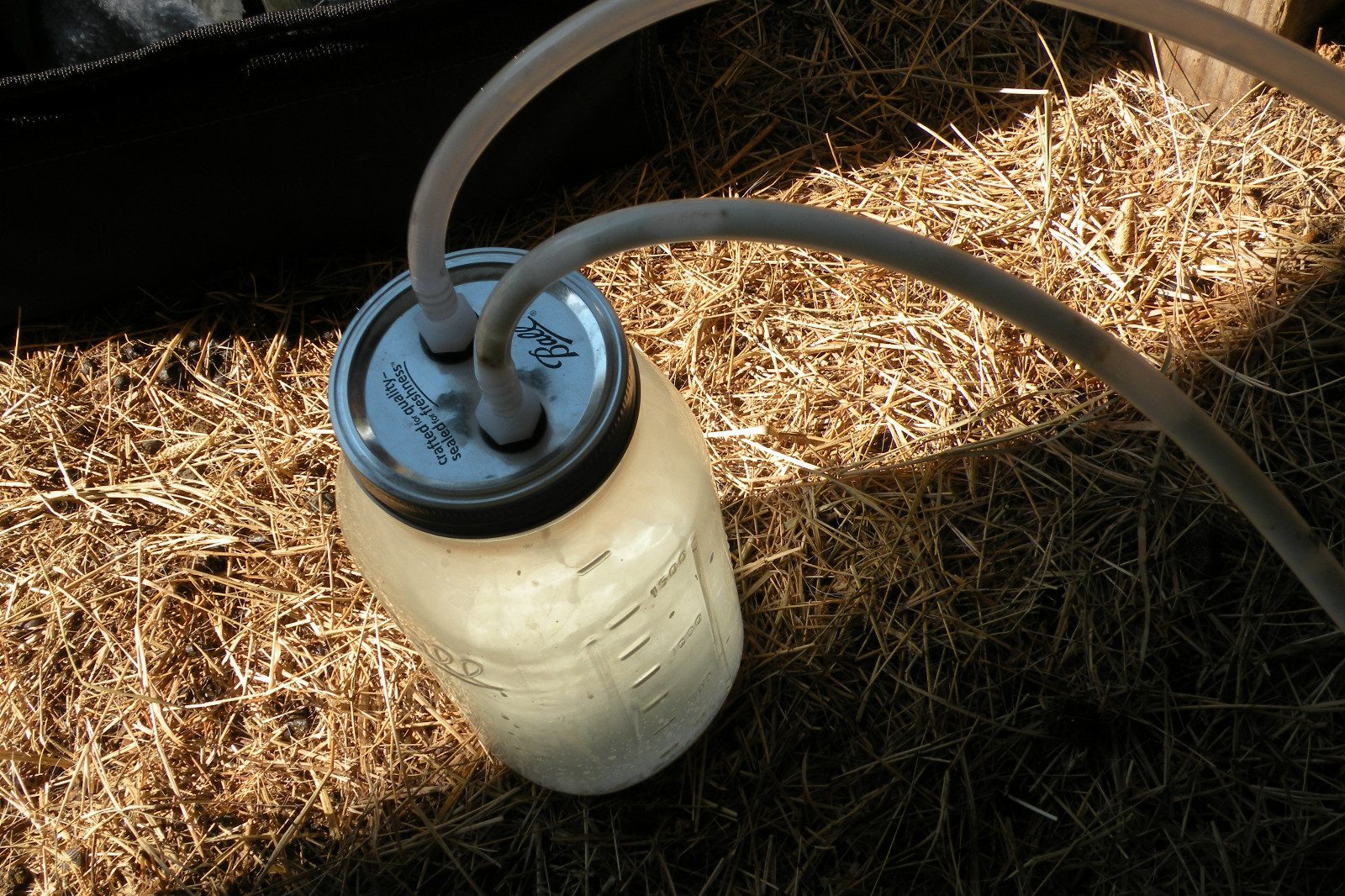 Goat Sheep Cow Hand Vacuum Milk Machine 1 Quart Bottle 2 teat Dansha Farms tm