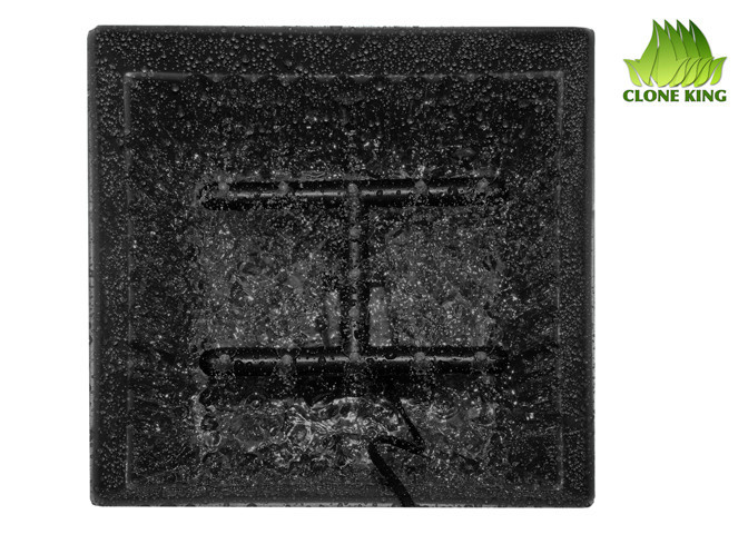 THE CLONE KING 36 SITE AEROPONIC PLANT CLONING MACHINE CLONER CLONING VERY EASY!