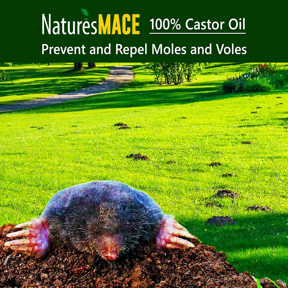 Nature's MACE 100% Pure Castor Oil Mole and Vole Deterrent