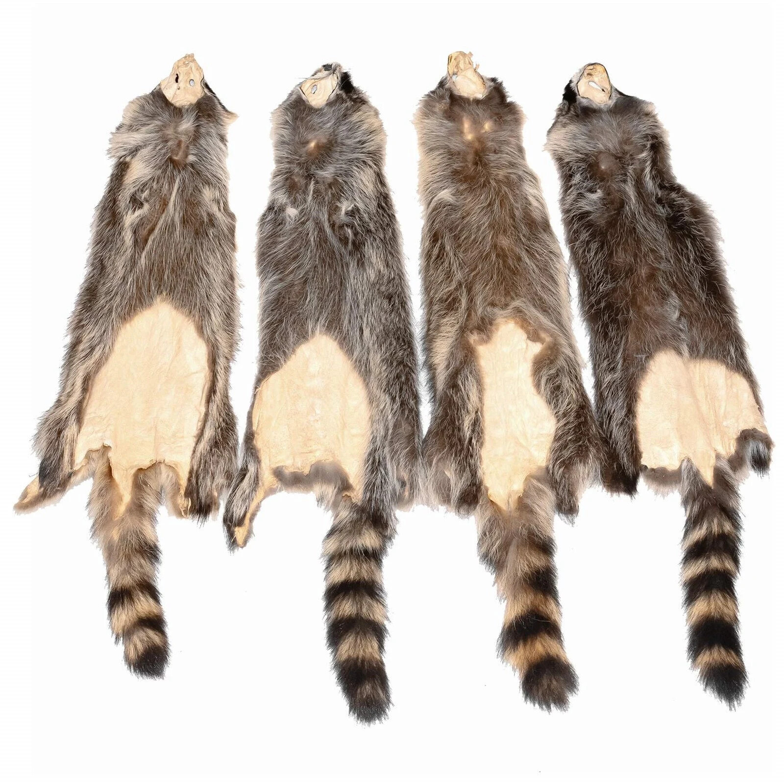 Soft Tanned Raccoon Premium Grade